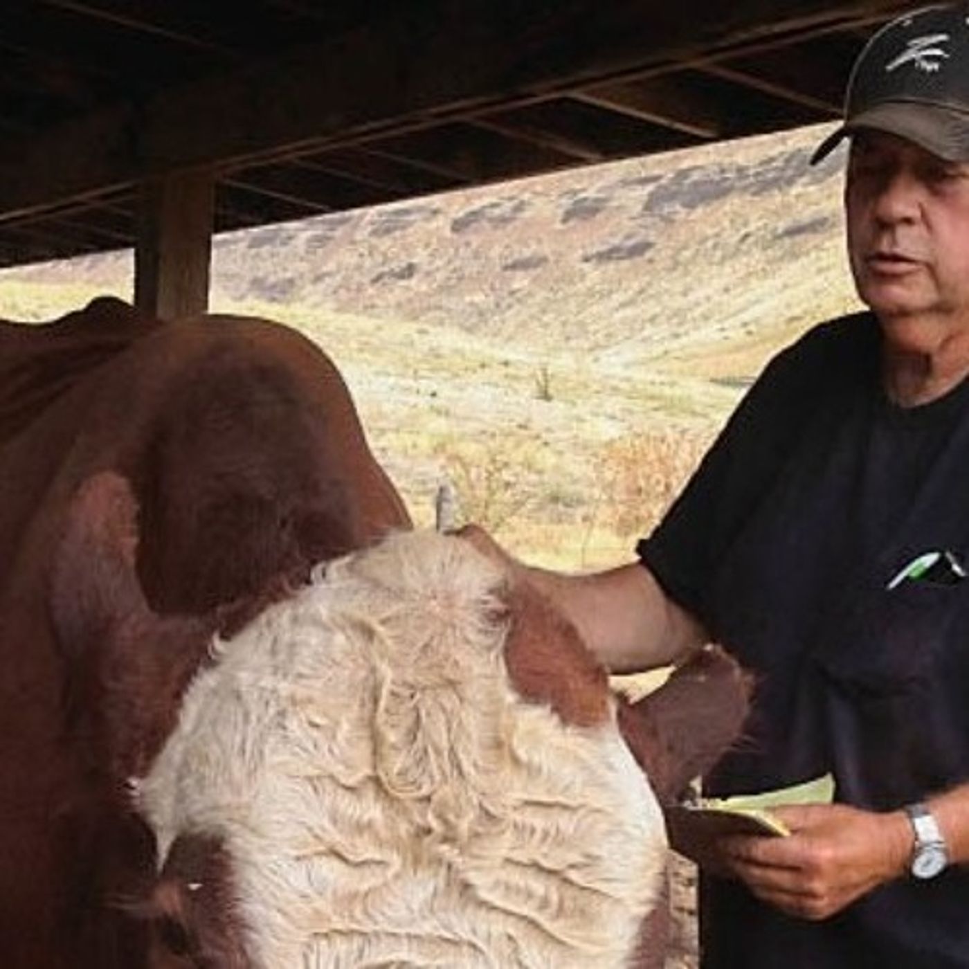 A Washington Rancher's Showdown With Pollution Regulators episode artwork