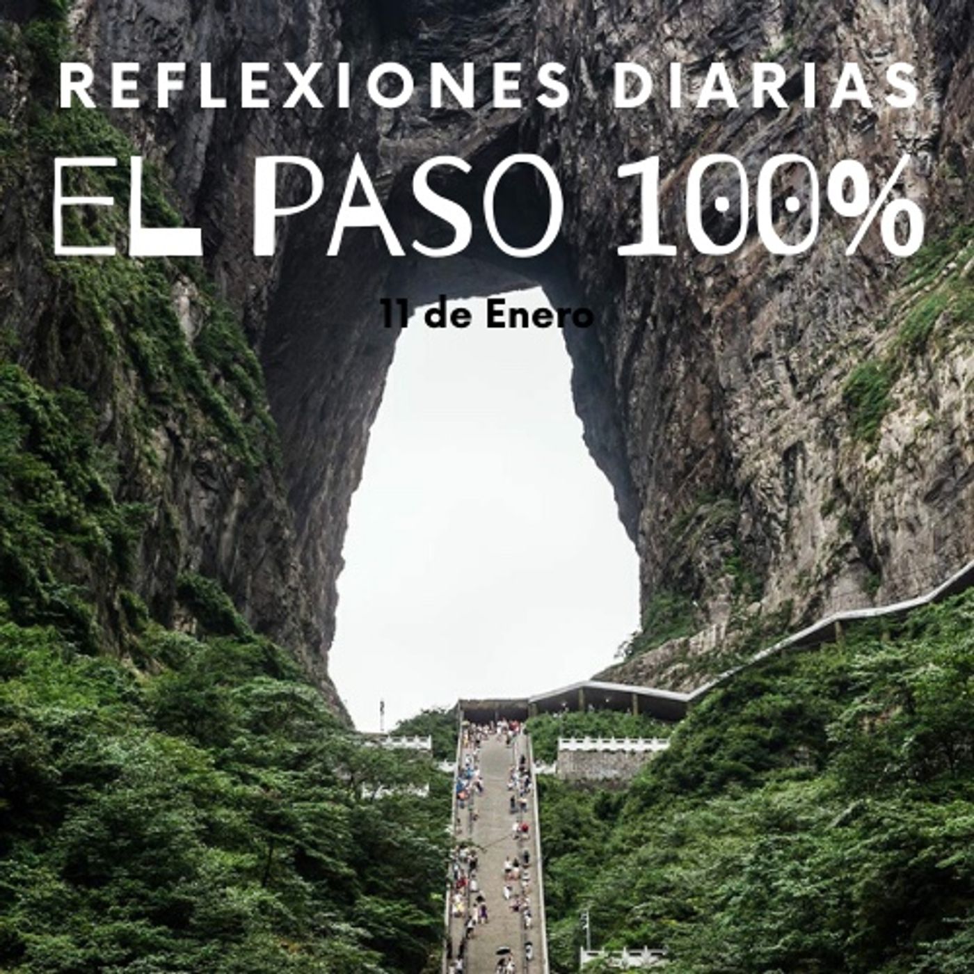 Reflexiones Diarias