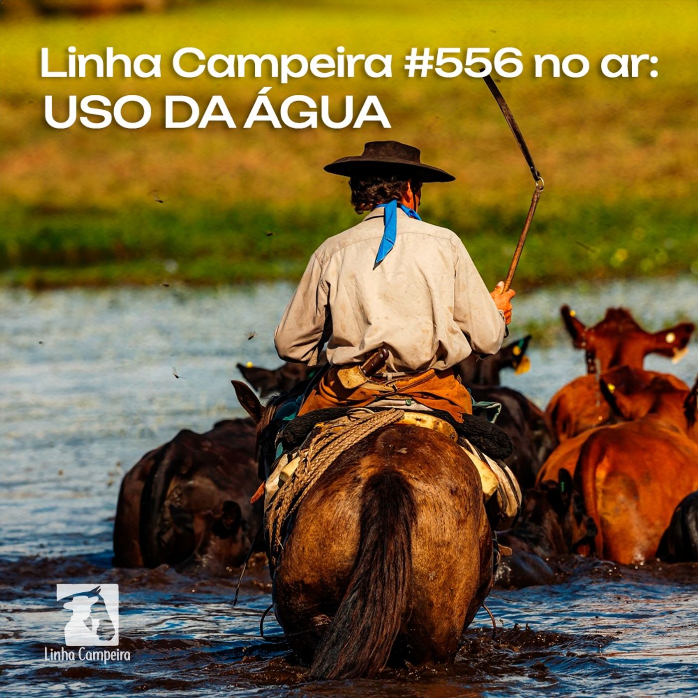Episódio #556 - O uso da água episode artwork