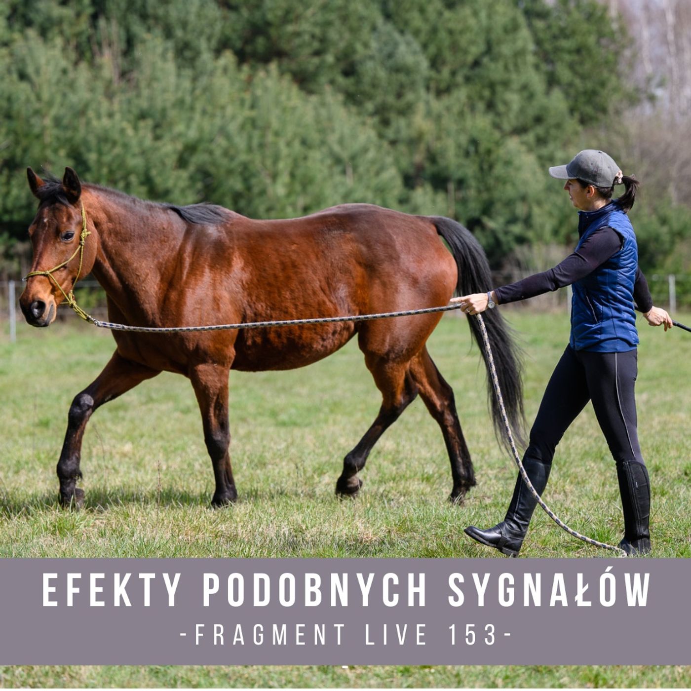 Efekty podobnych sygnałów - fragment live 153 episode artwork