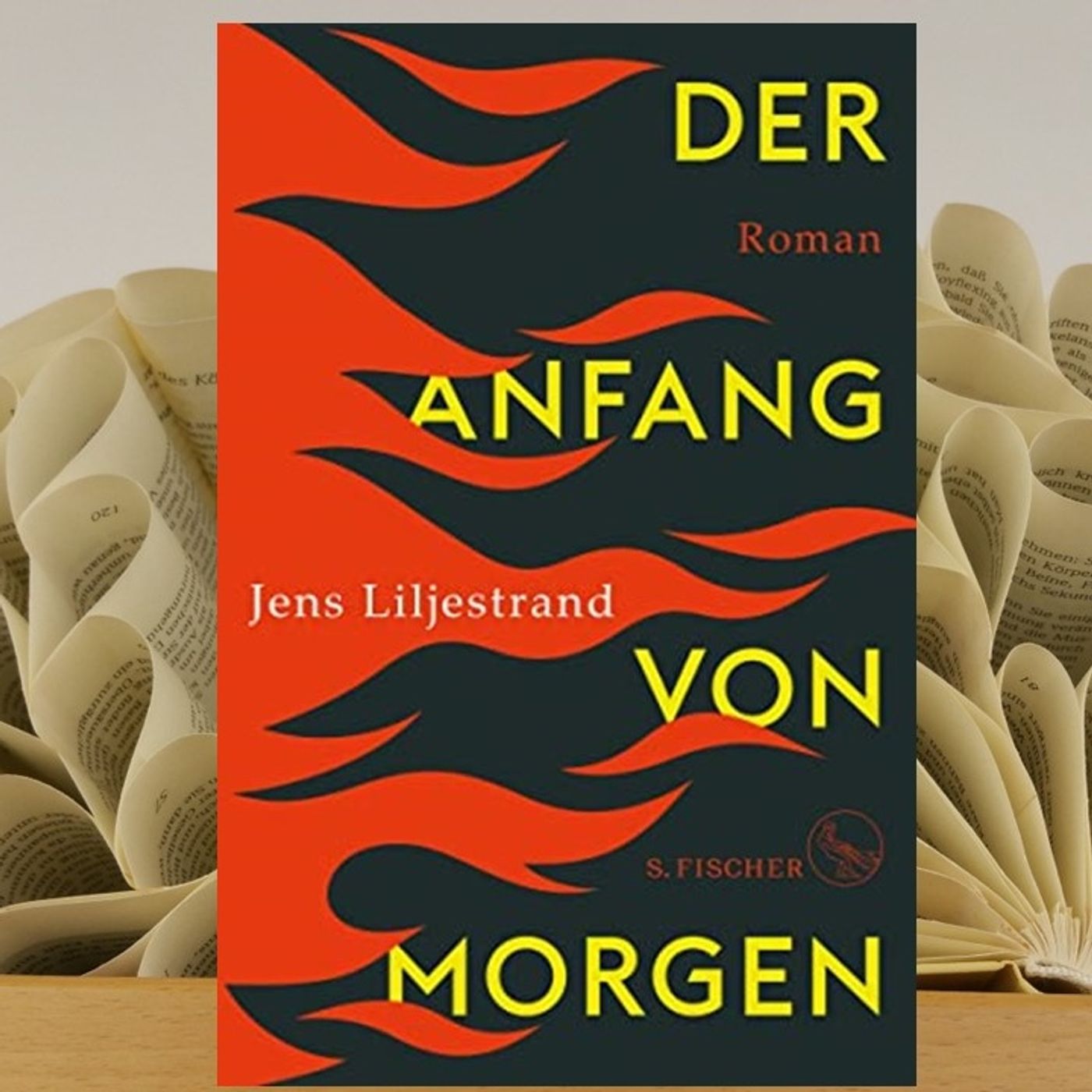 24.01. Jens Liljestrand - Der Anfang von Morgen (Kerstin Morgenstern) episode artwork
