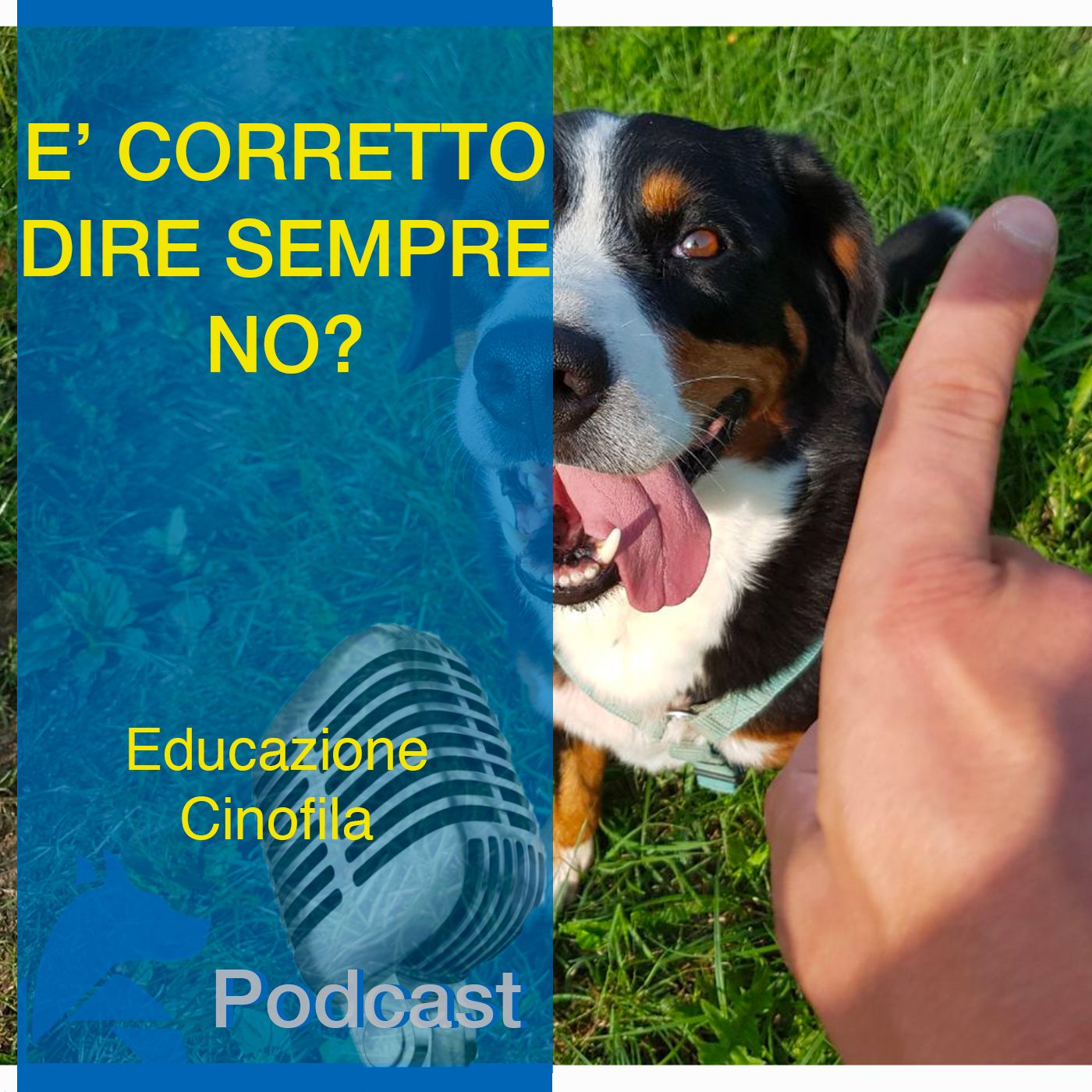 StiCani Educazione Cinofila
