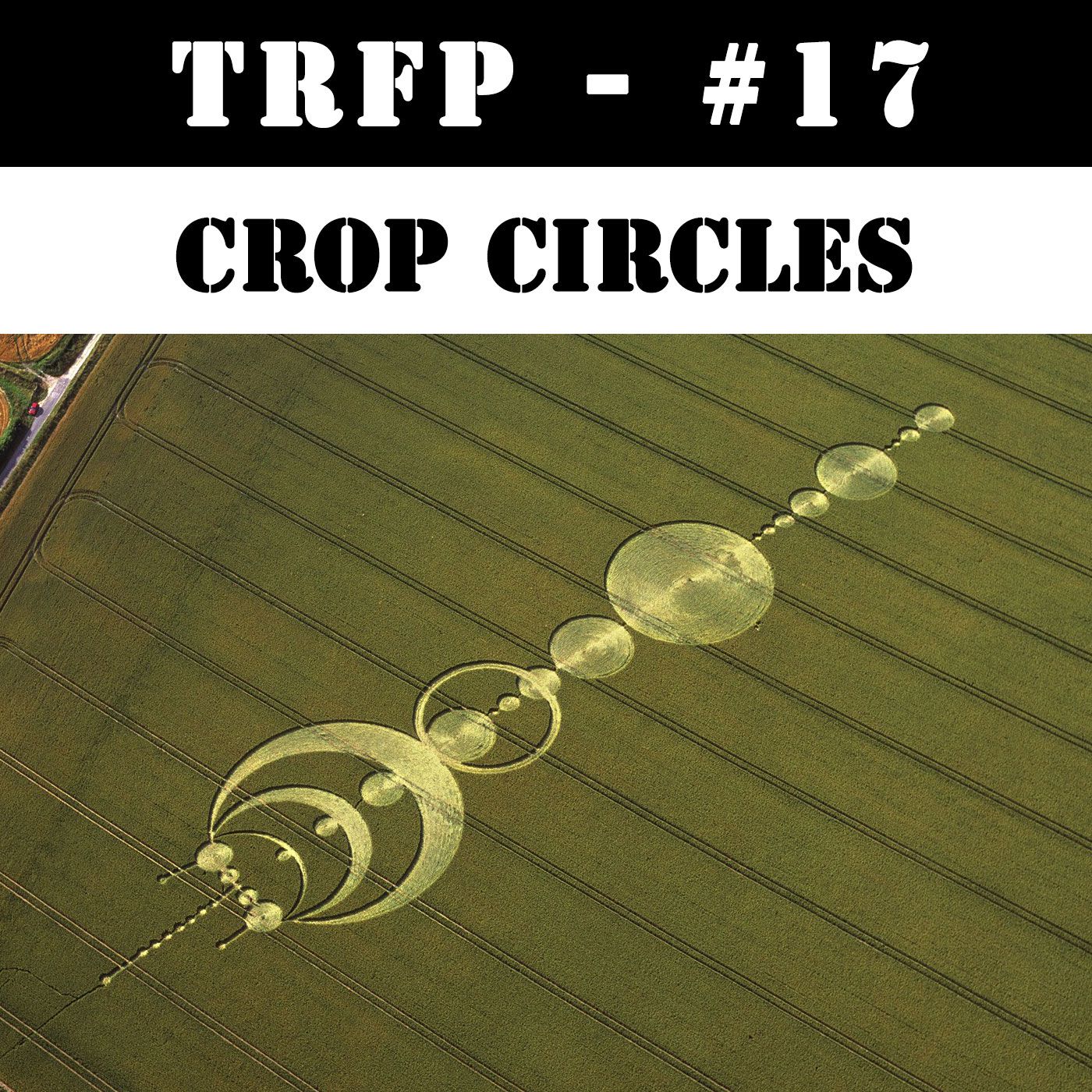 #17 - Crop Circles episode artwork