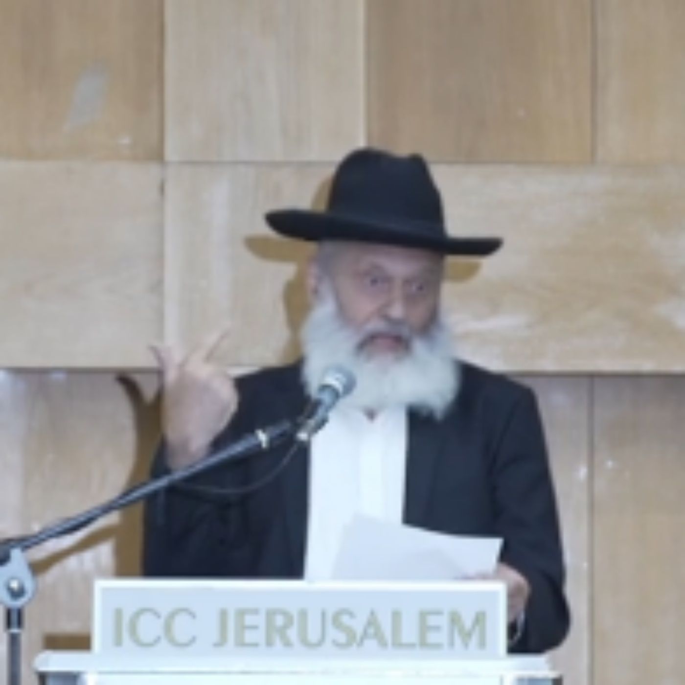 איך אנחנו לובשים בגדי הכהן הגדול ביום הכיפורים – וזוכים לחיות? | הרב ראובן פיירמן | כנס תשובה מאהבה תשפ”ז episode artwork