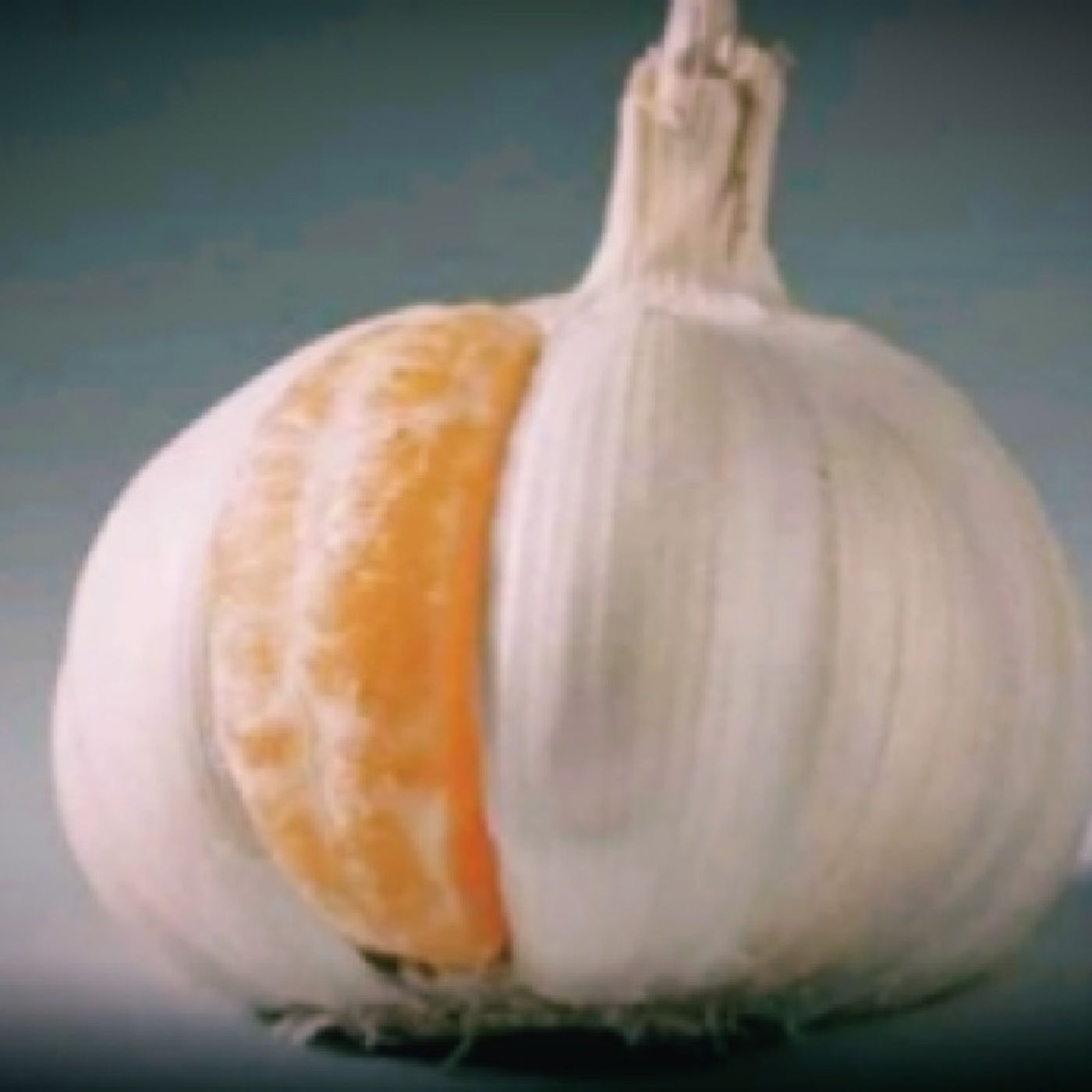 PensieRosa