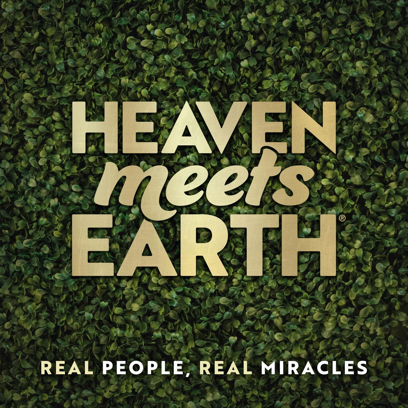 This Biotech CEO Died for 30 Minutes… Then Met Jesus | Randy Kay episode artwork
