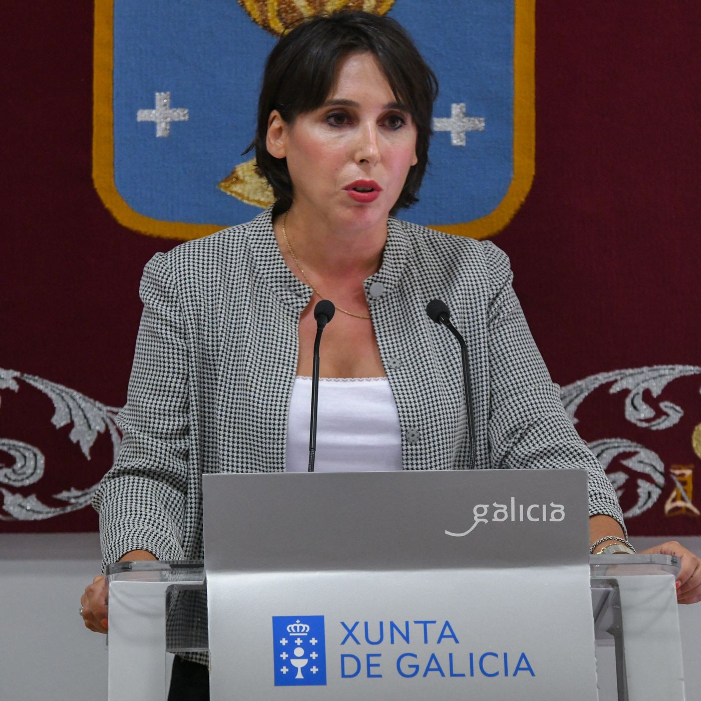 La Xunta pide al Gobierno que "retire el recurso de inconstitucionalidad contra Galicia" por las medidas de repotenciación episode artwork