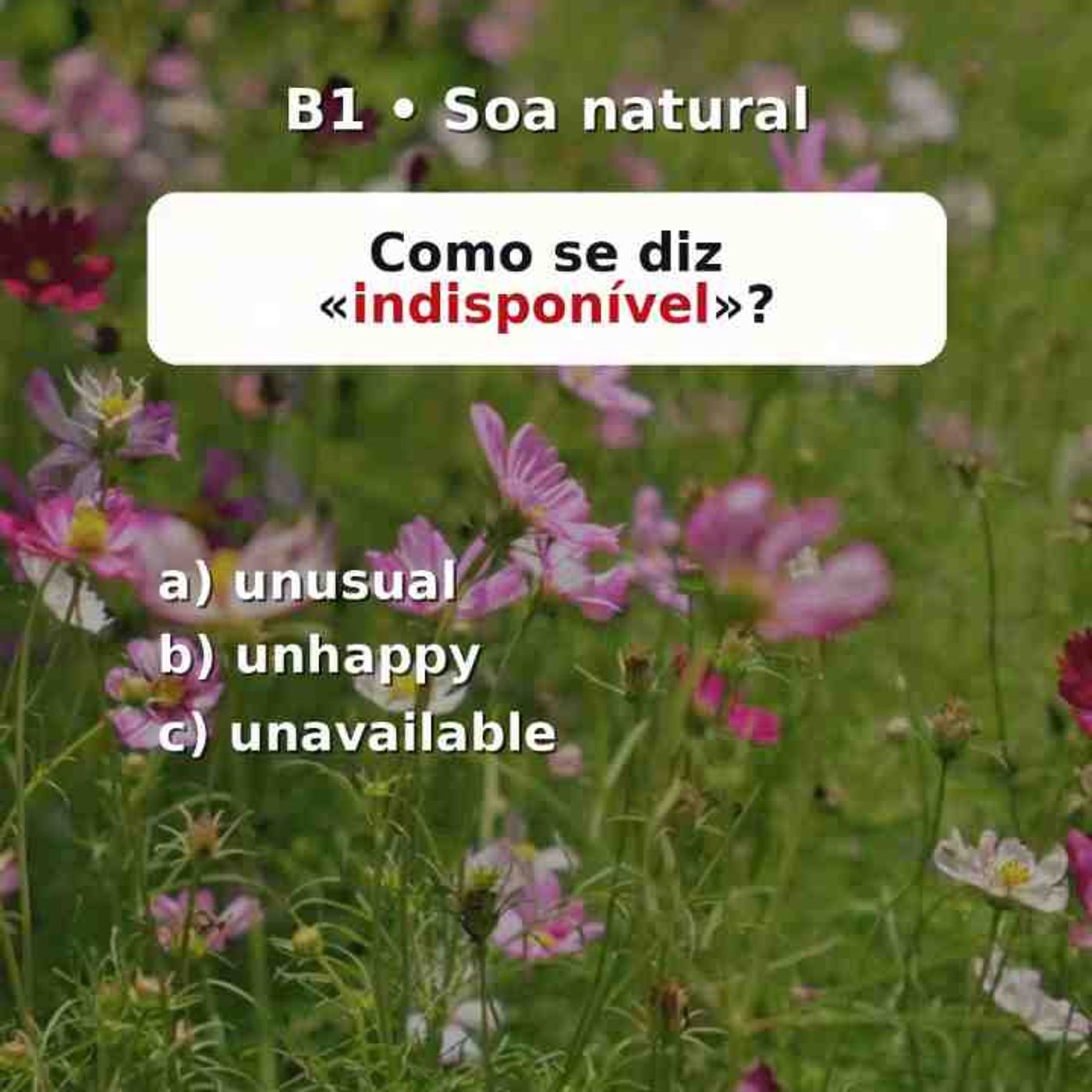 4 perguntas sobre «soa natural». Teste seu inglês.