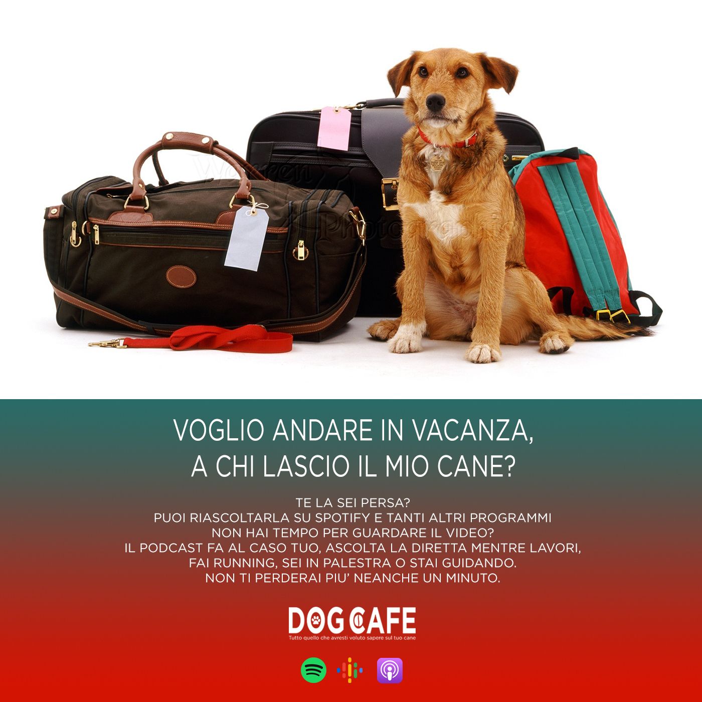 Dog Cafe Podcast