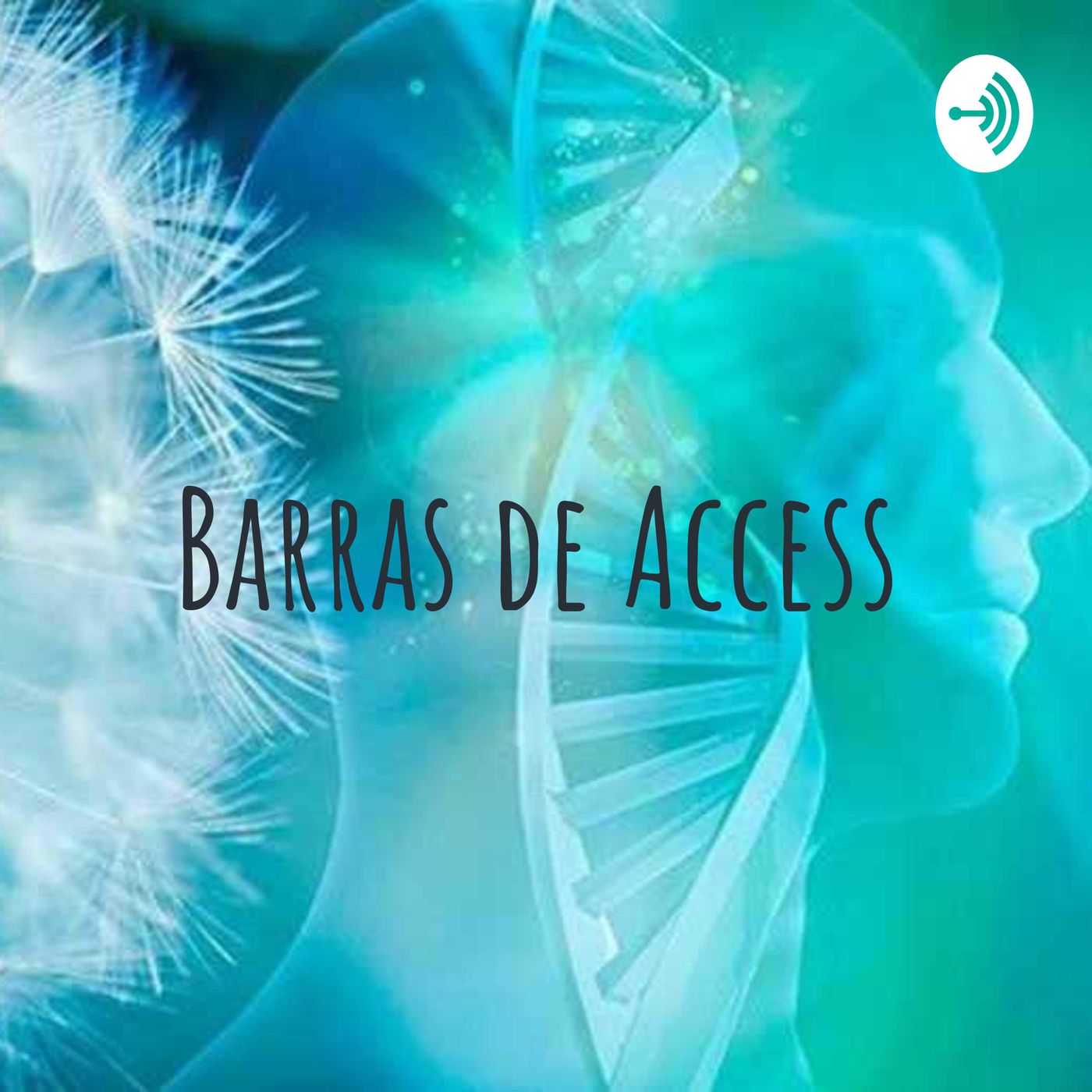 Mantras Barras de Access /Afirm Positivas