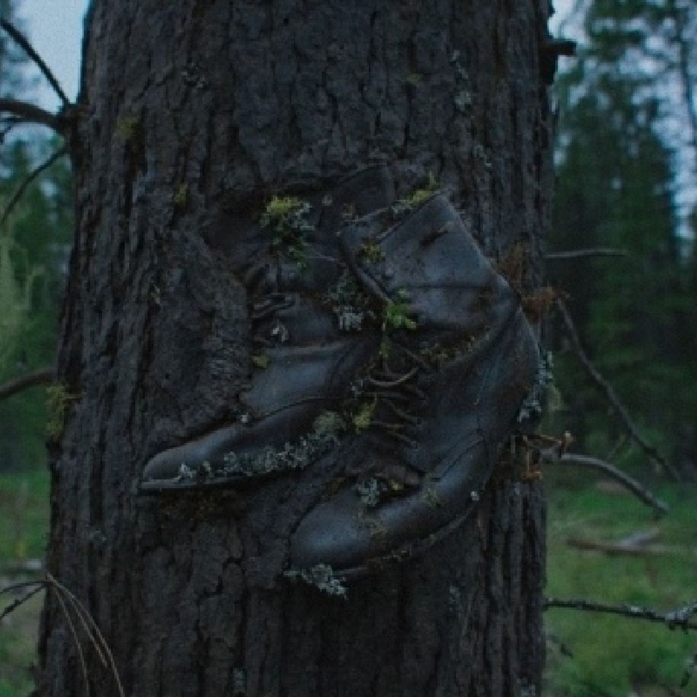 Ep533 - Diane's Tarot Diary: 我的塔羅日記🎬戲說塔羅•火車大夢-3 Ep533 - Diane's Tarot Diary: 我的塔羅日記🎬戲說塔羅•火車大夢-3