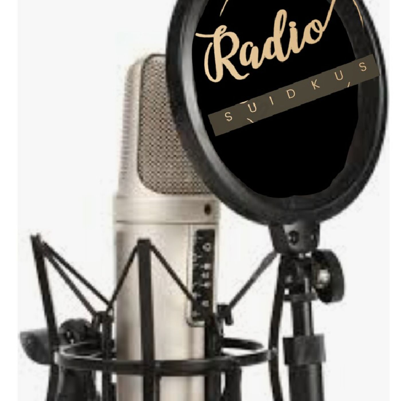 Radio Suidkus