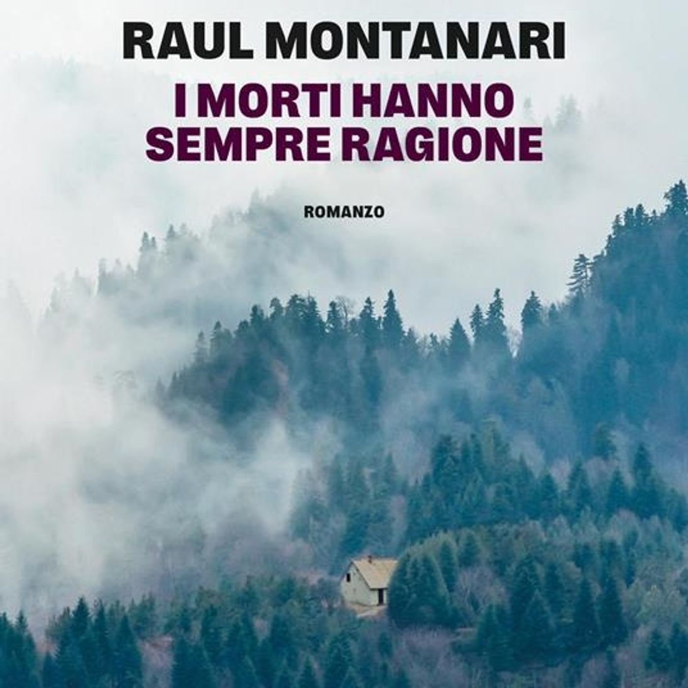 Raul Montanari "I morti hanno sempre ragione" episode artwork