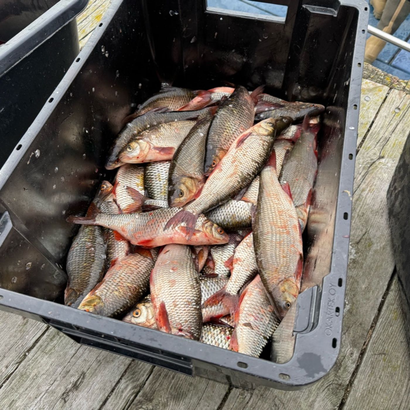 Suomenkielisiä podcasteja