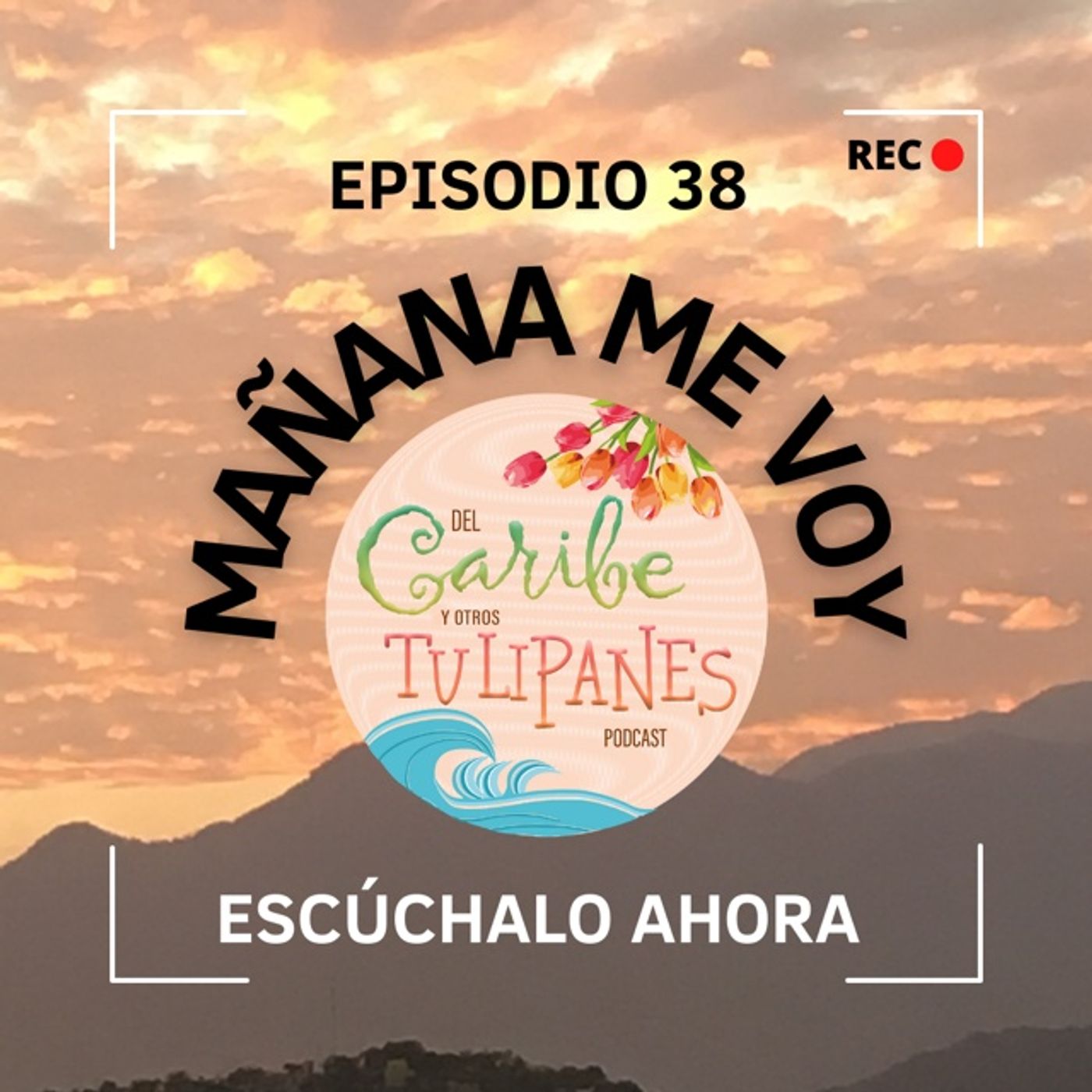 Del Caribe y otros Tulipanes