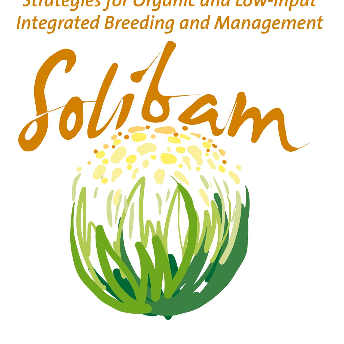 The SOLIBAM project
