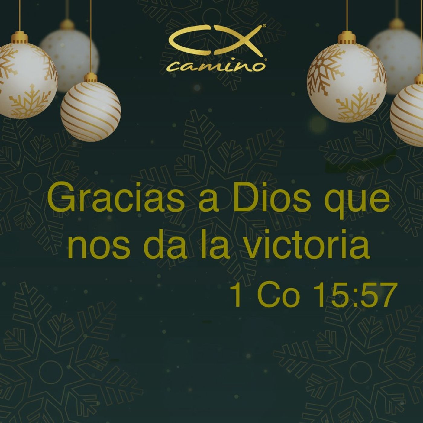 Oración 20 de diciembre (Gracias a Dios que nos da la victoria) episode artwork