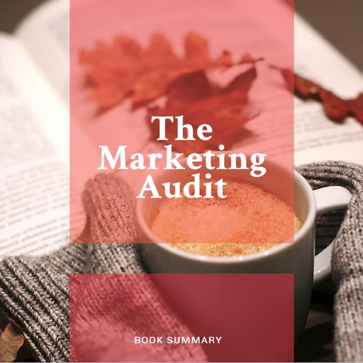 The Marketing Audit The Marketing Audit