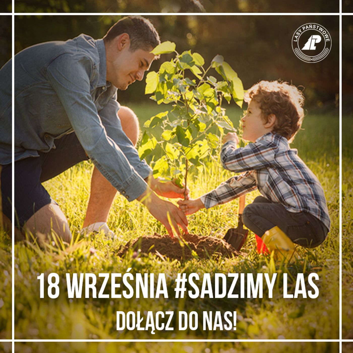 Między Drzewami Podcast