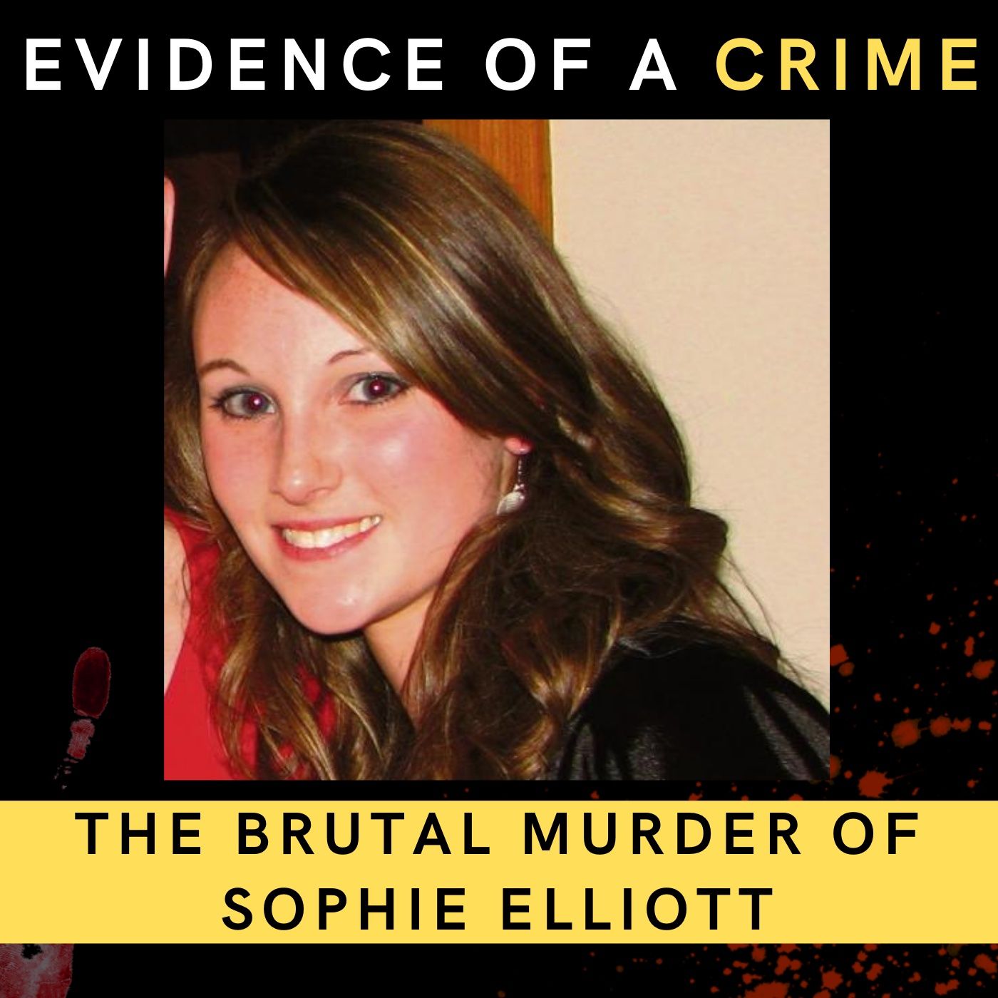 11. The Brutal Murder Of Sophie Elliott