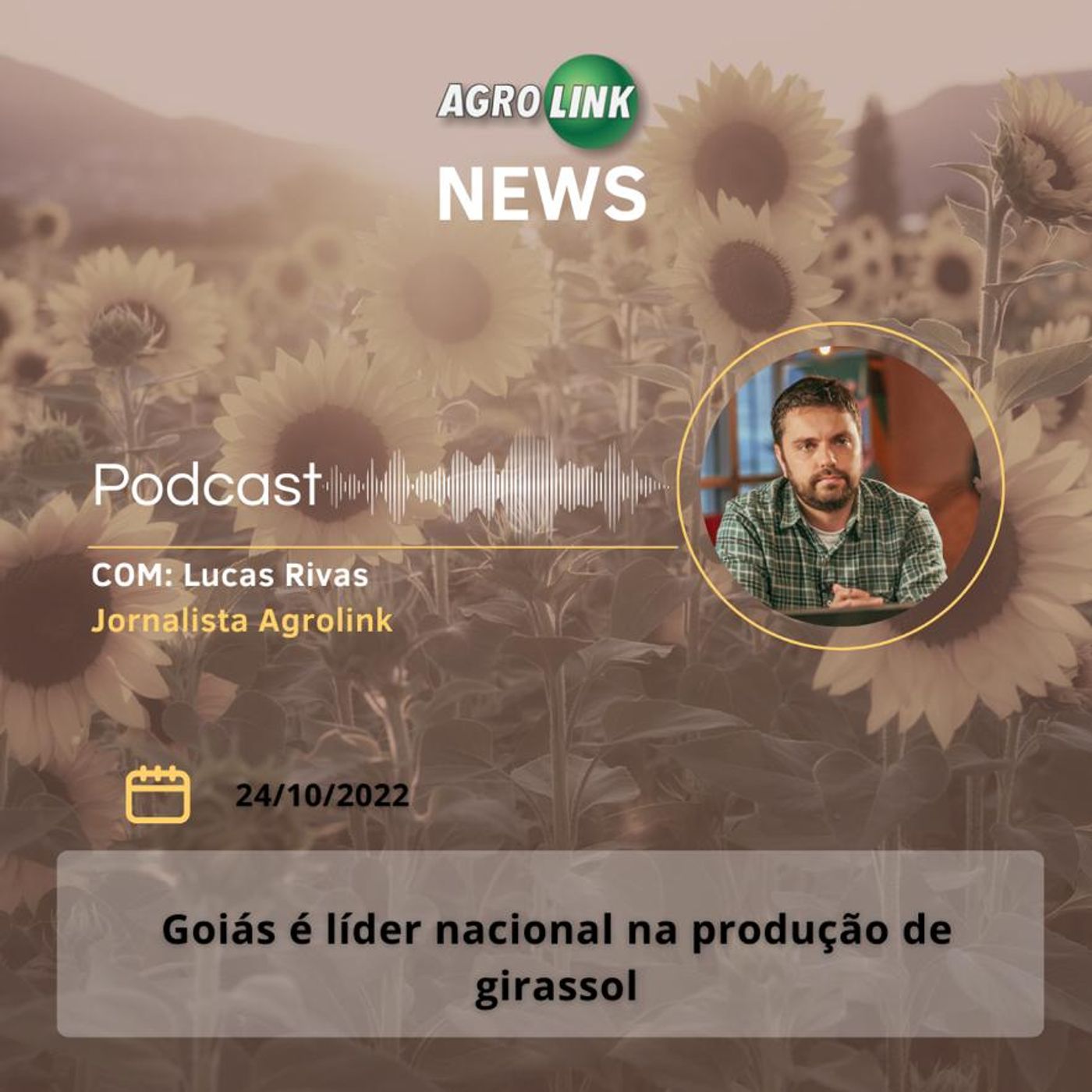 Colheita de trigo no Paraná chega a 54% da área episode artwork