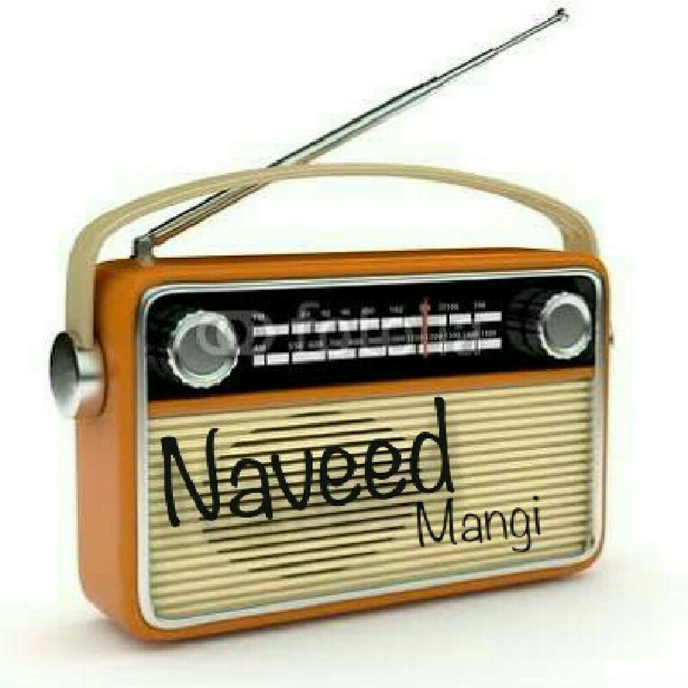 Naveed Mangi's show