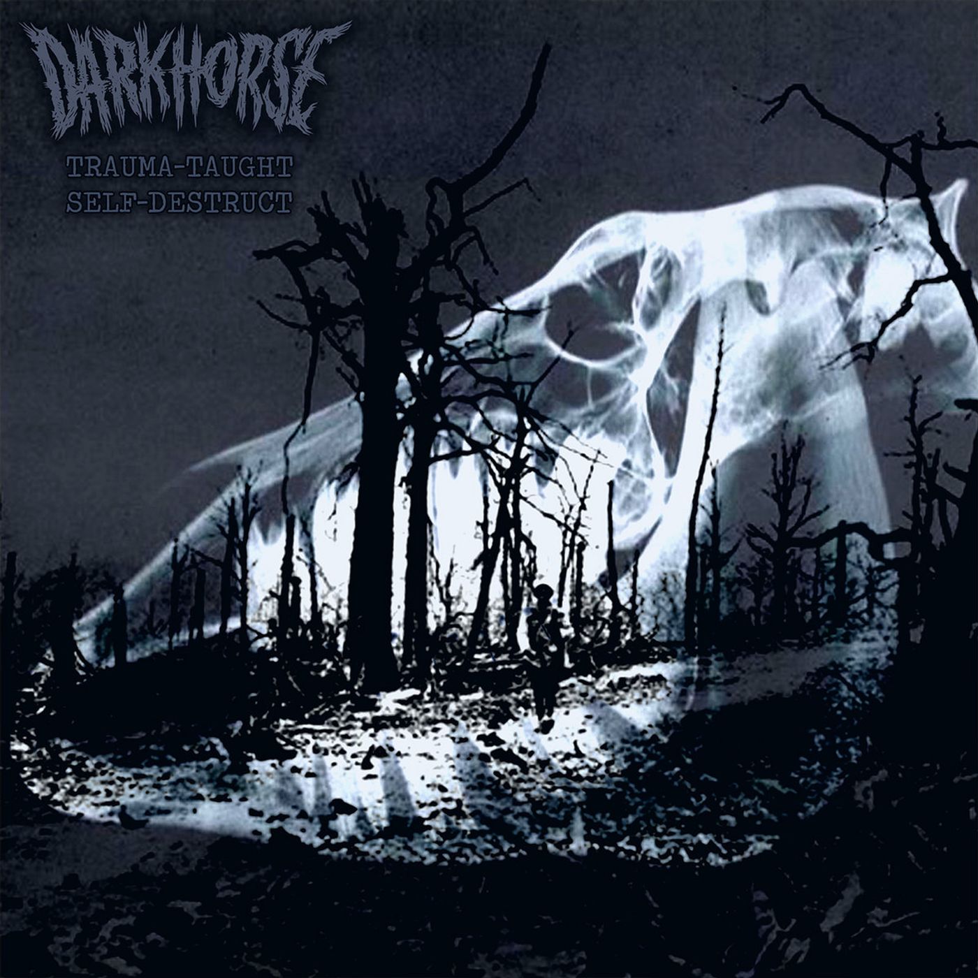 DARK HORSE - Trauma Taught Self Destruct Interview episode artwork