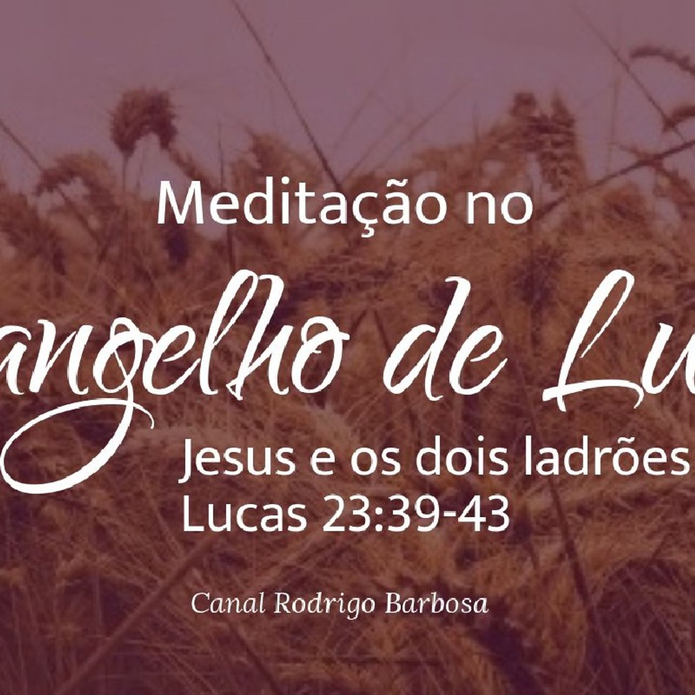 Rodrigo Barbosa