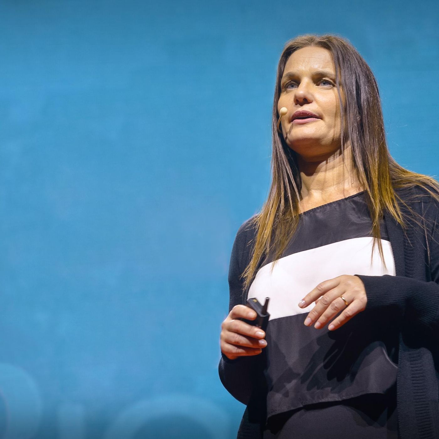 TEDTalks  Arte