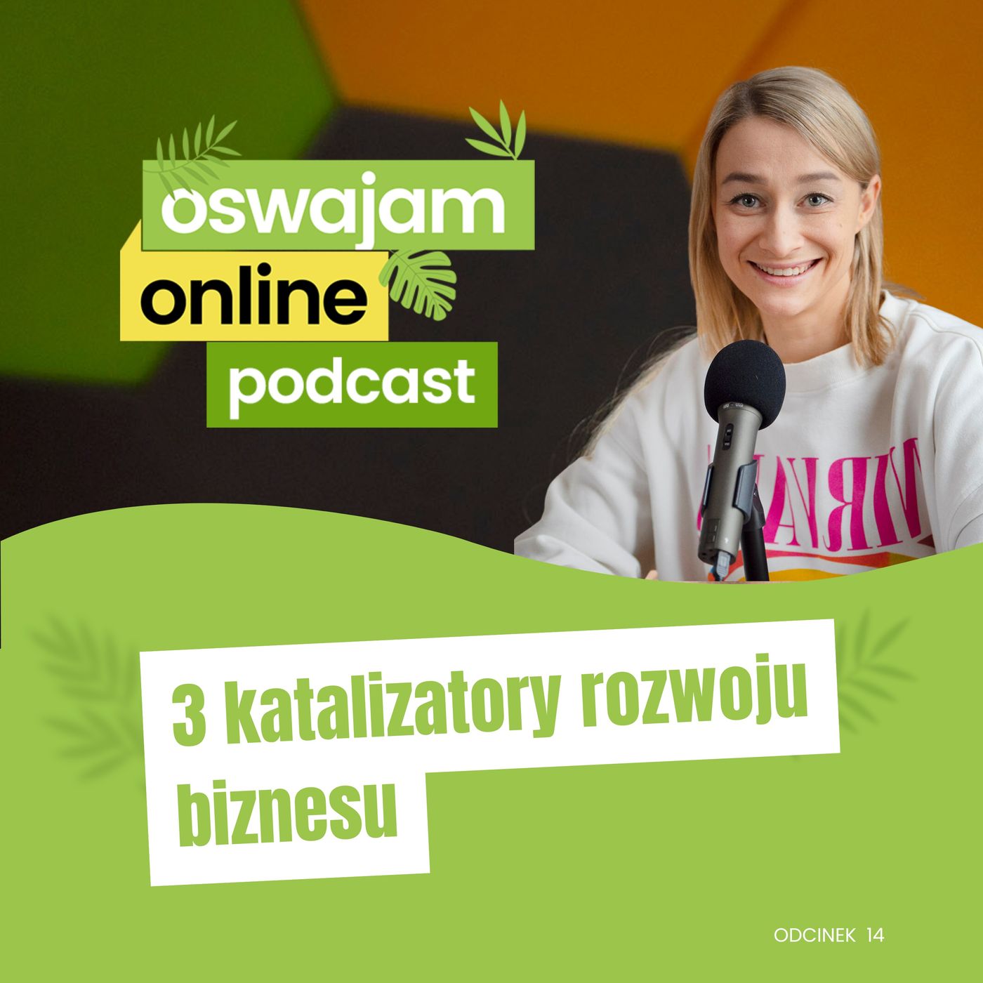 Oswajam Online