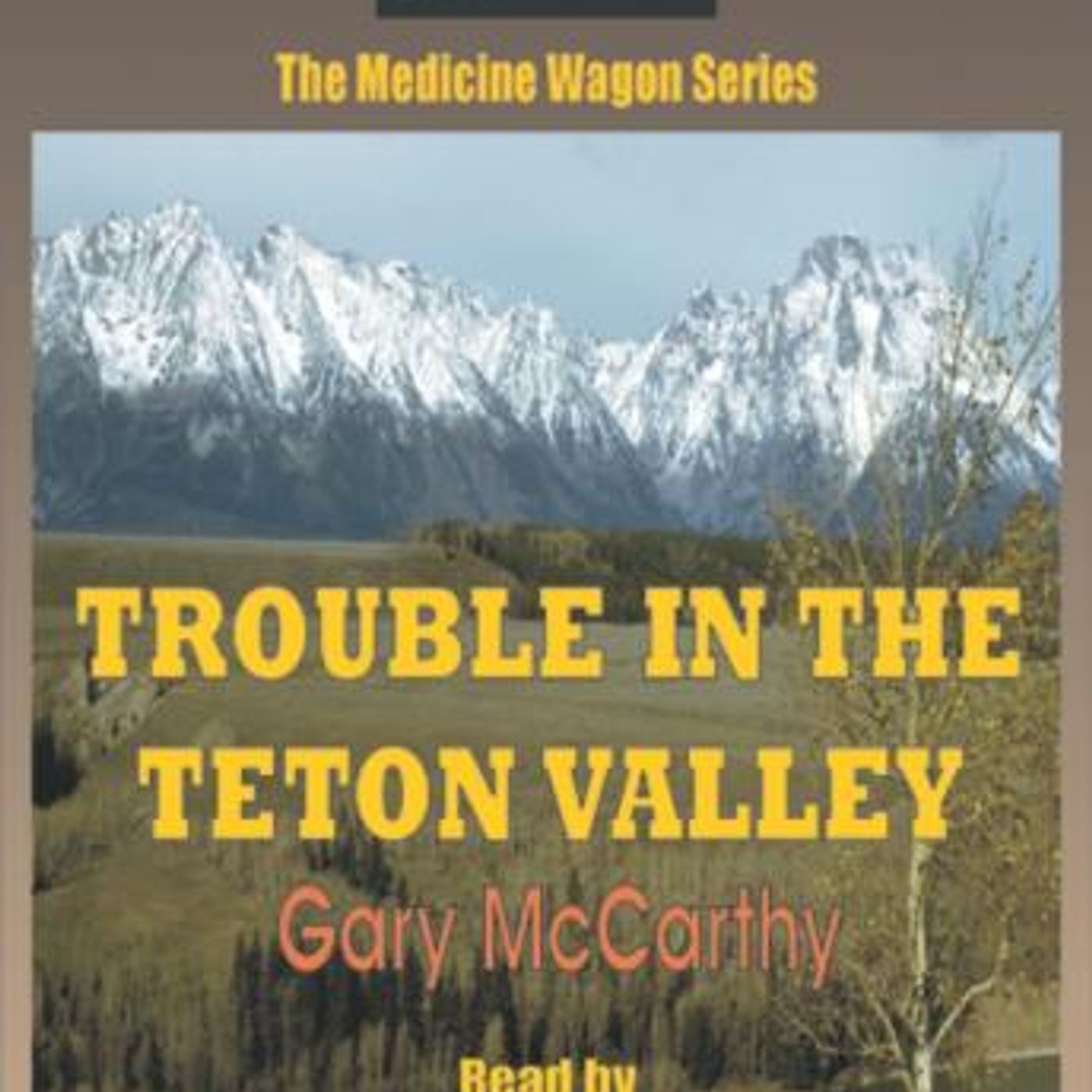 Download High-Quality Full Audiobooks in Fiction, Westerns & War