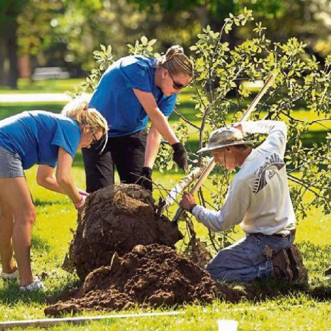 Debbie Kush\'s podcast