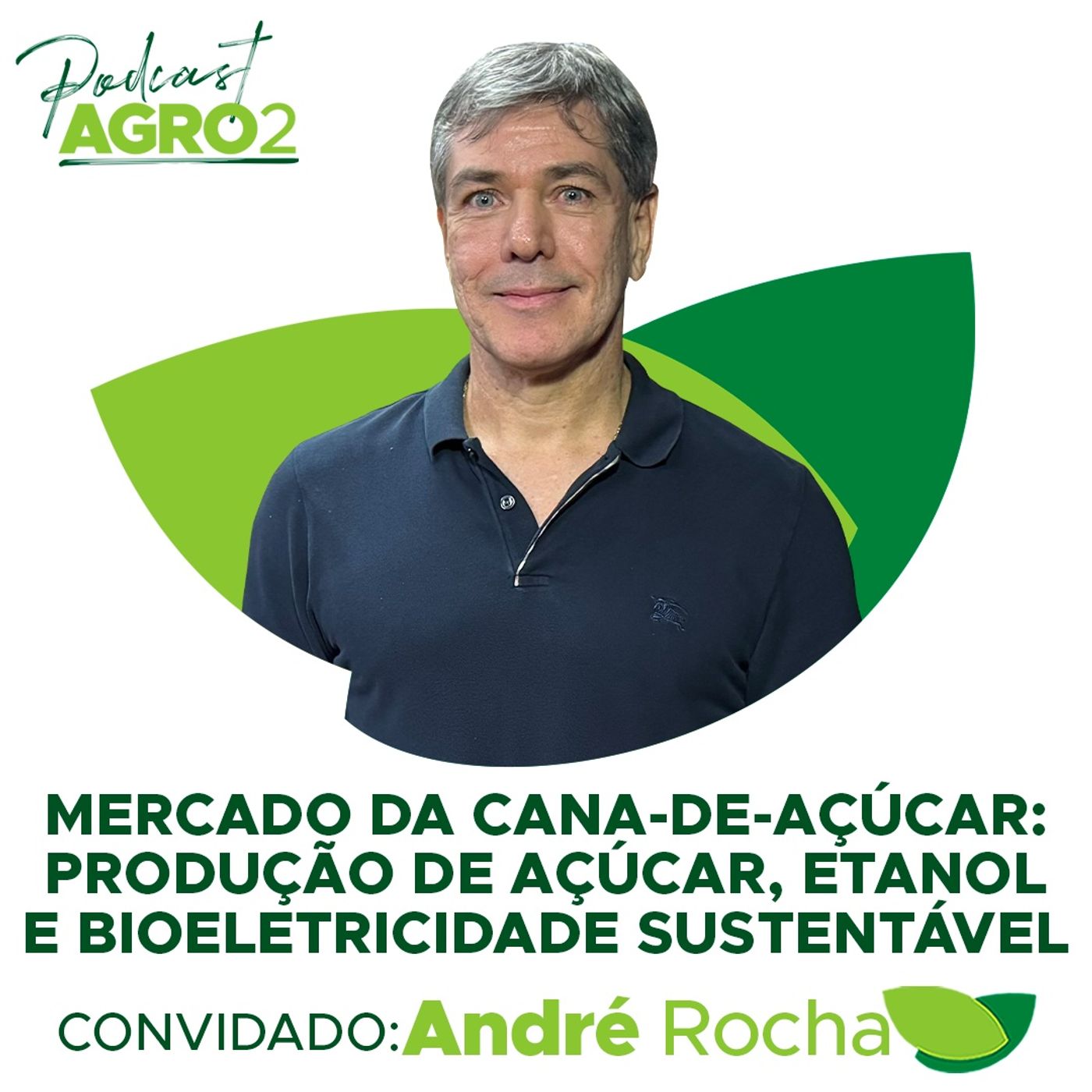 Mercado da cana-de-açúcar no Brasil: produção de açúcar, etanol e bioeletricidade sustentável #277 episode artwork
