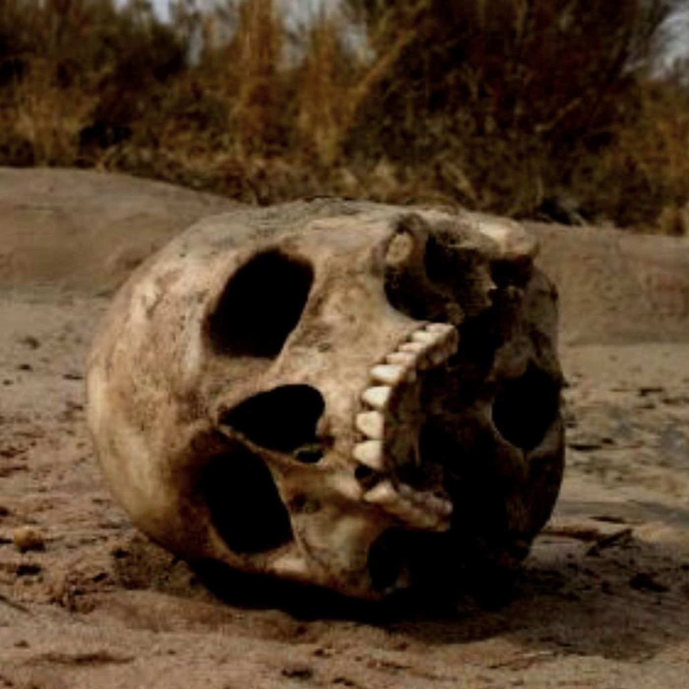 El Nahual Fronterizo Historias De Terror - REDE