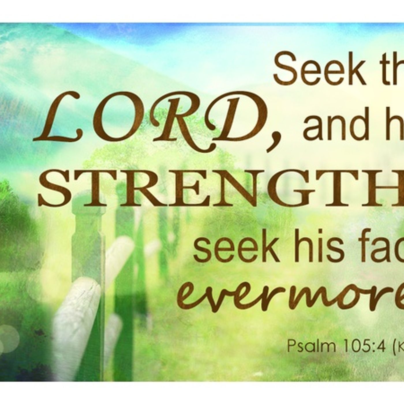 Seeking The Lord And His Strength In 2022 (Part 1) [B 14] episode artwork