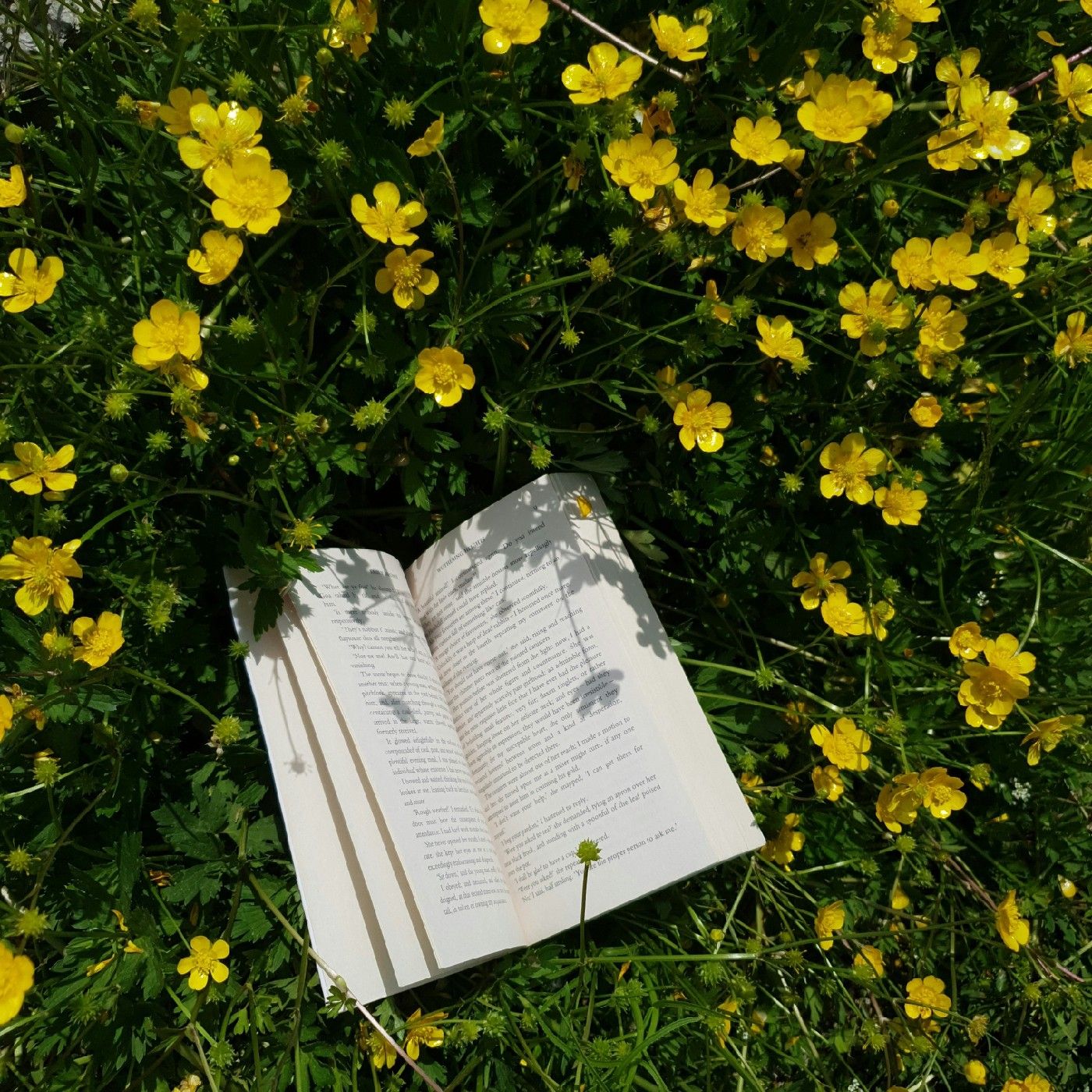 Beyond the Pages