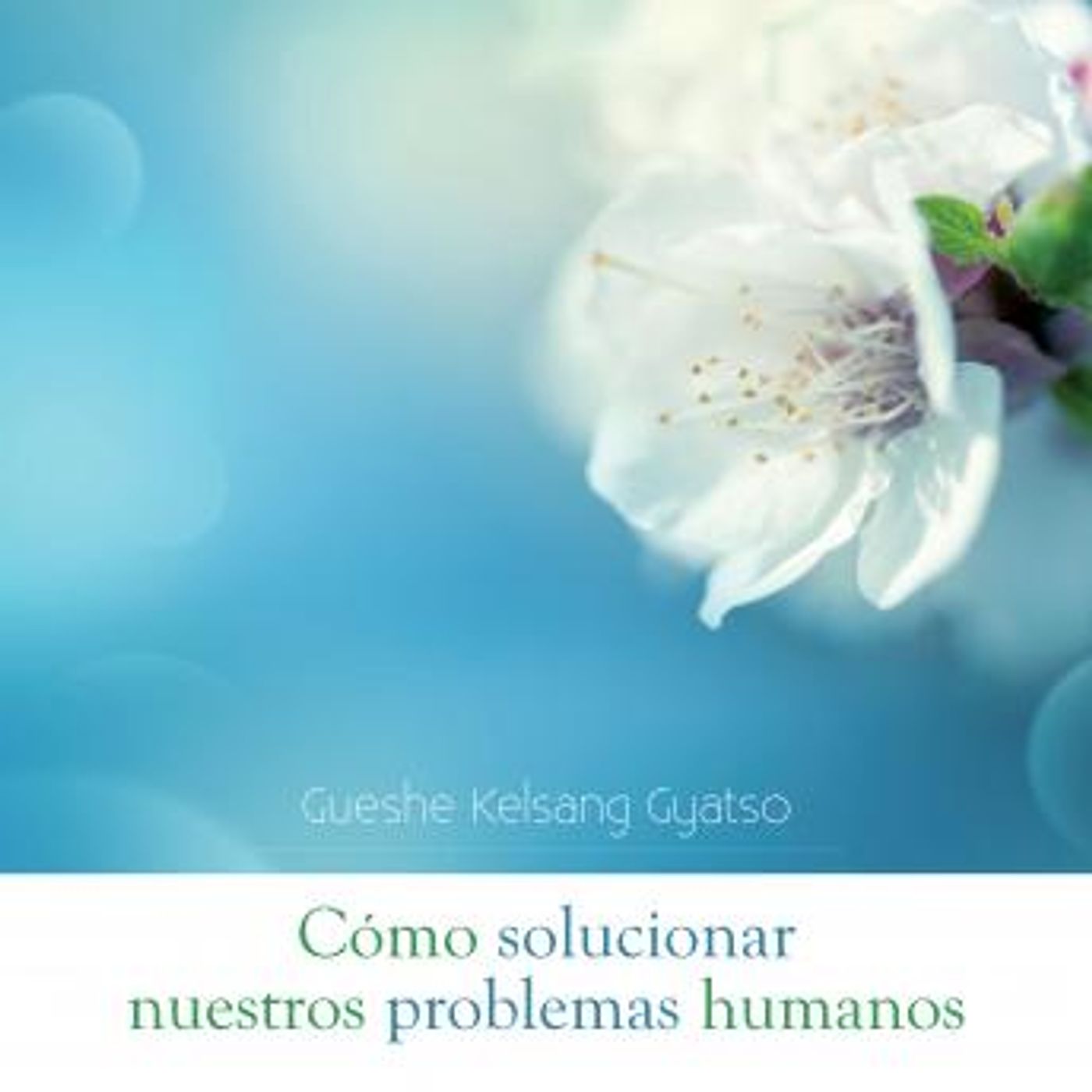 Access Top-Rated Full Audiobooks in Health & Wellness, Mindfulness & Meditation
