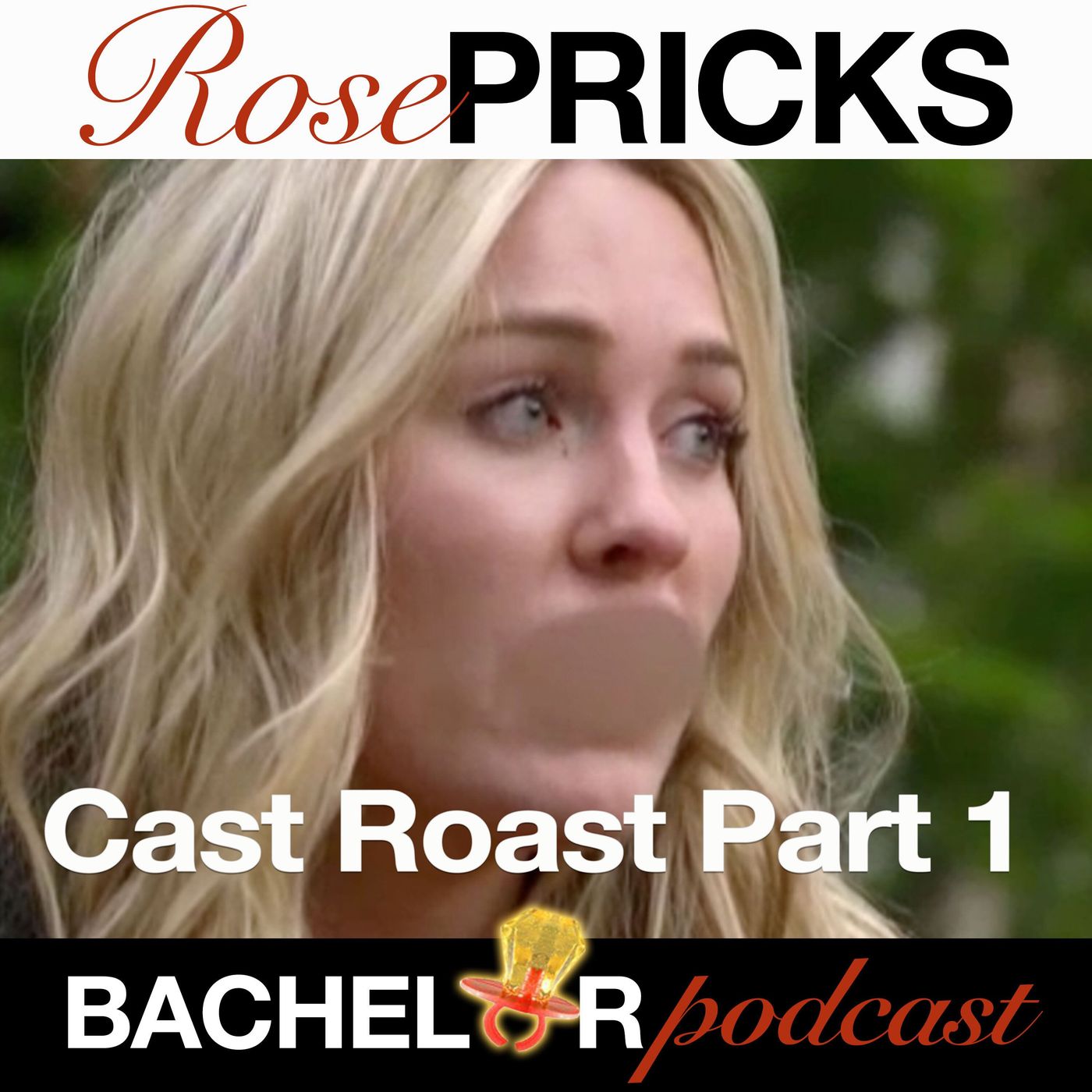 The Bachelor Season 23 Cast Roast Part One