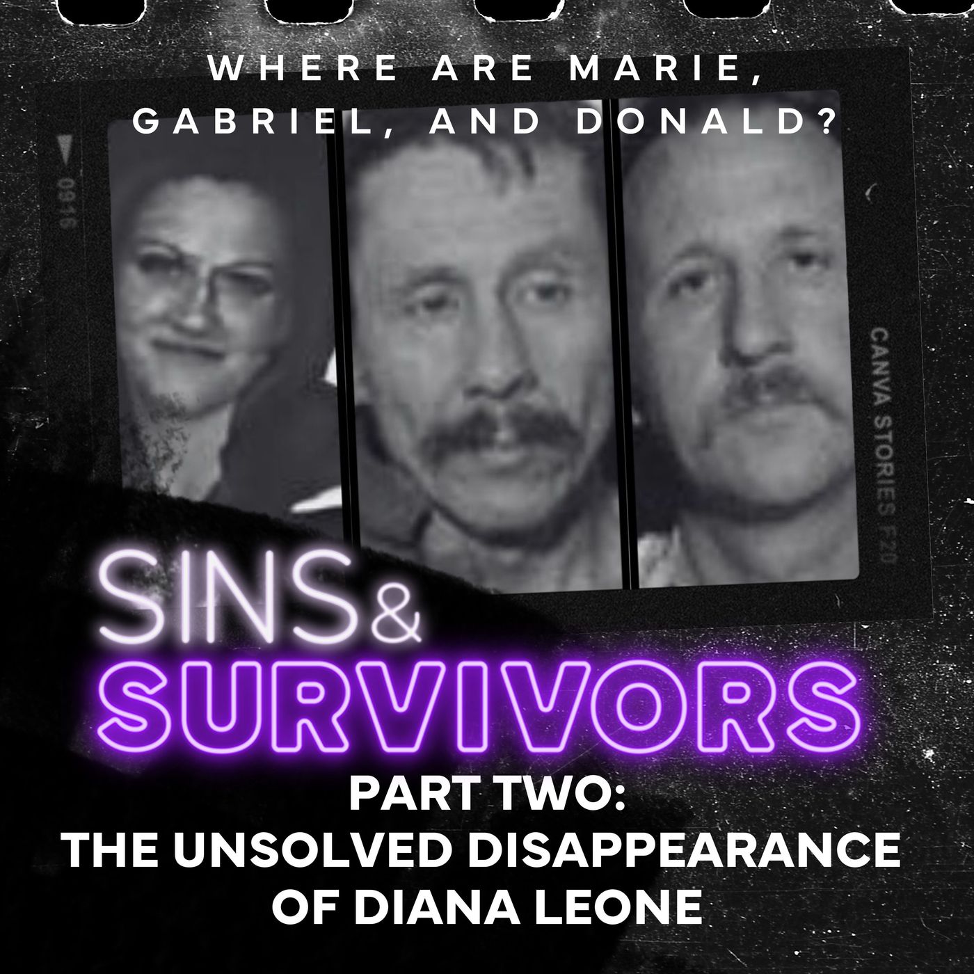 The Unsolved Disappearance of Diana Leone (Part 2)