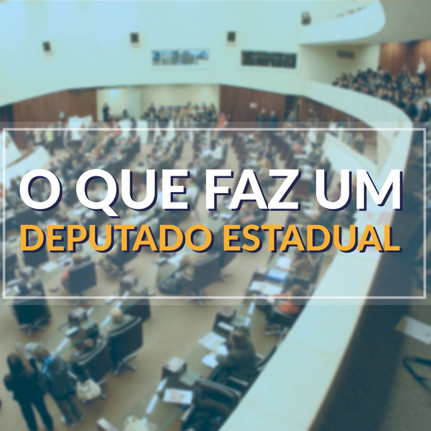 #80 - O que faz um deputado estadual?