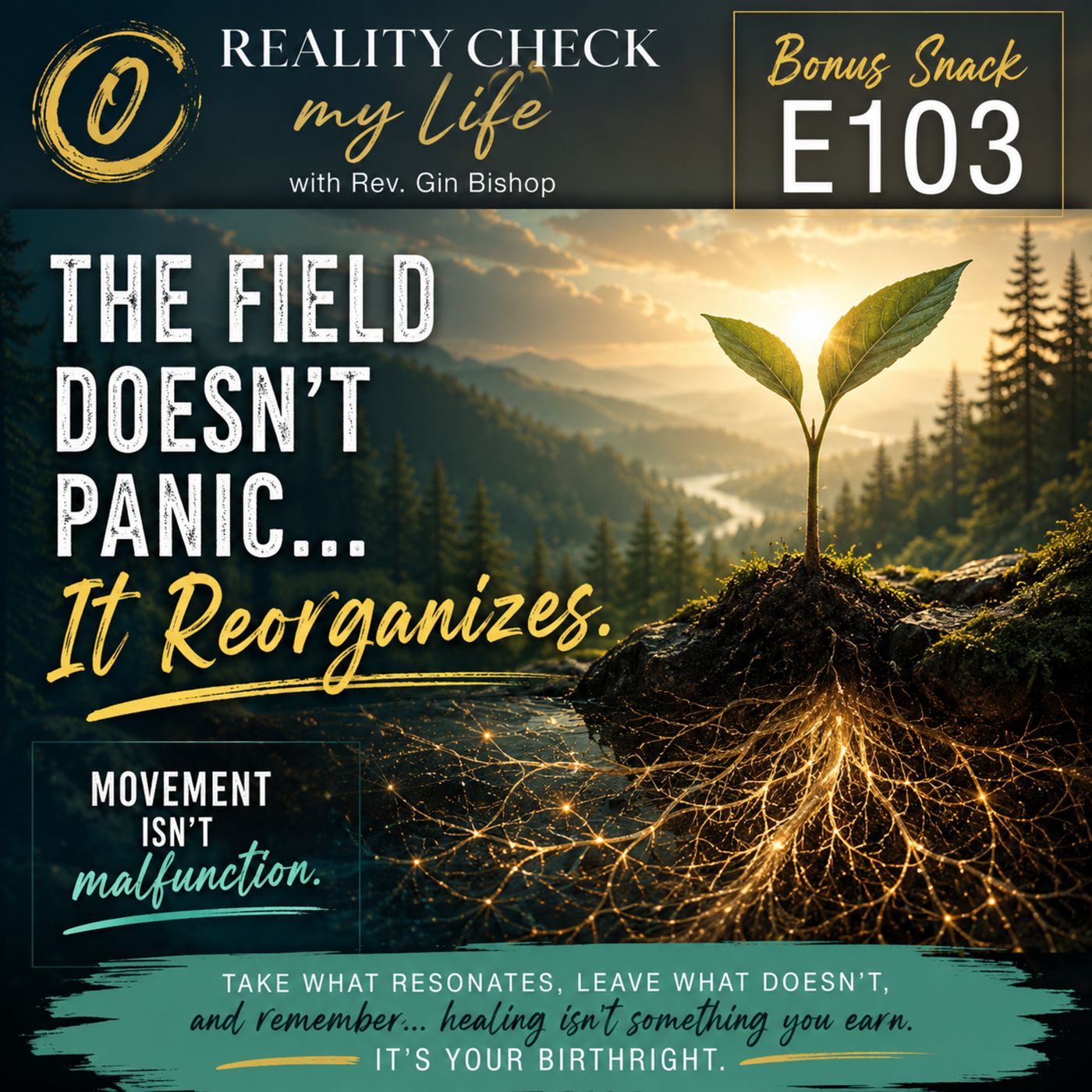 Bonus Snack E103: The Field Doesn't Panic... It Reorganizes episode artwork