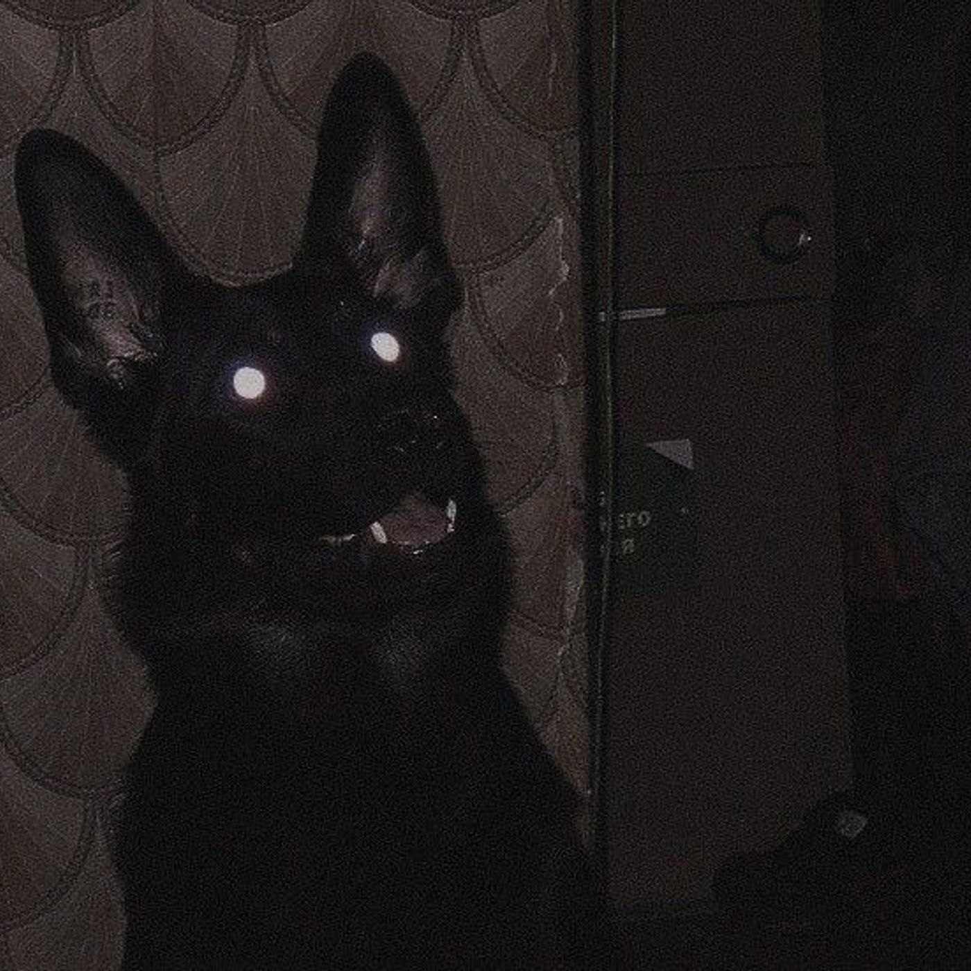 Historias de Miedo Enero 31 de 2023 SE DESPIDIO EN SUEÑOS Y LA HISTORIA DE UN NAHUAL