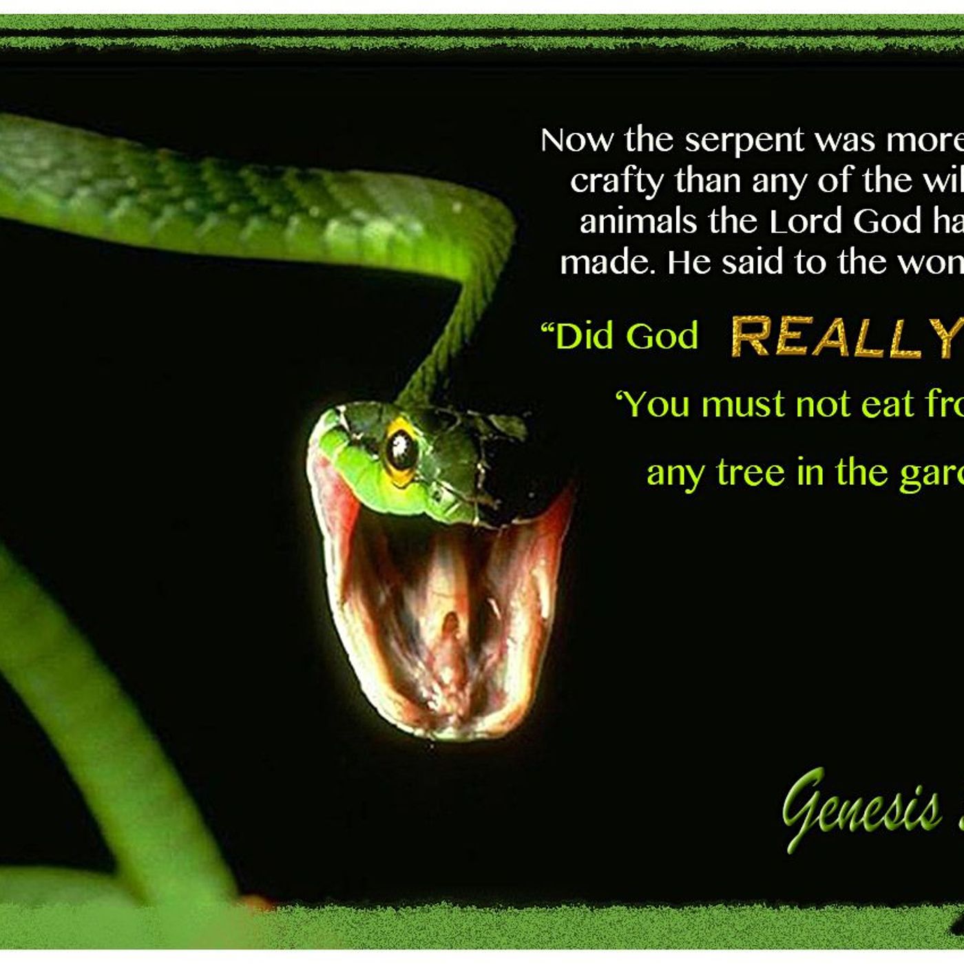DEMON TALK: THE SERPENT SAYS "DID NOT GOD SAY??" episode artwork