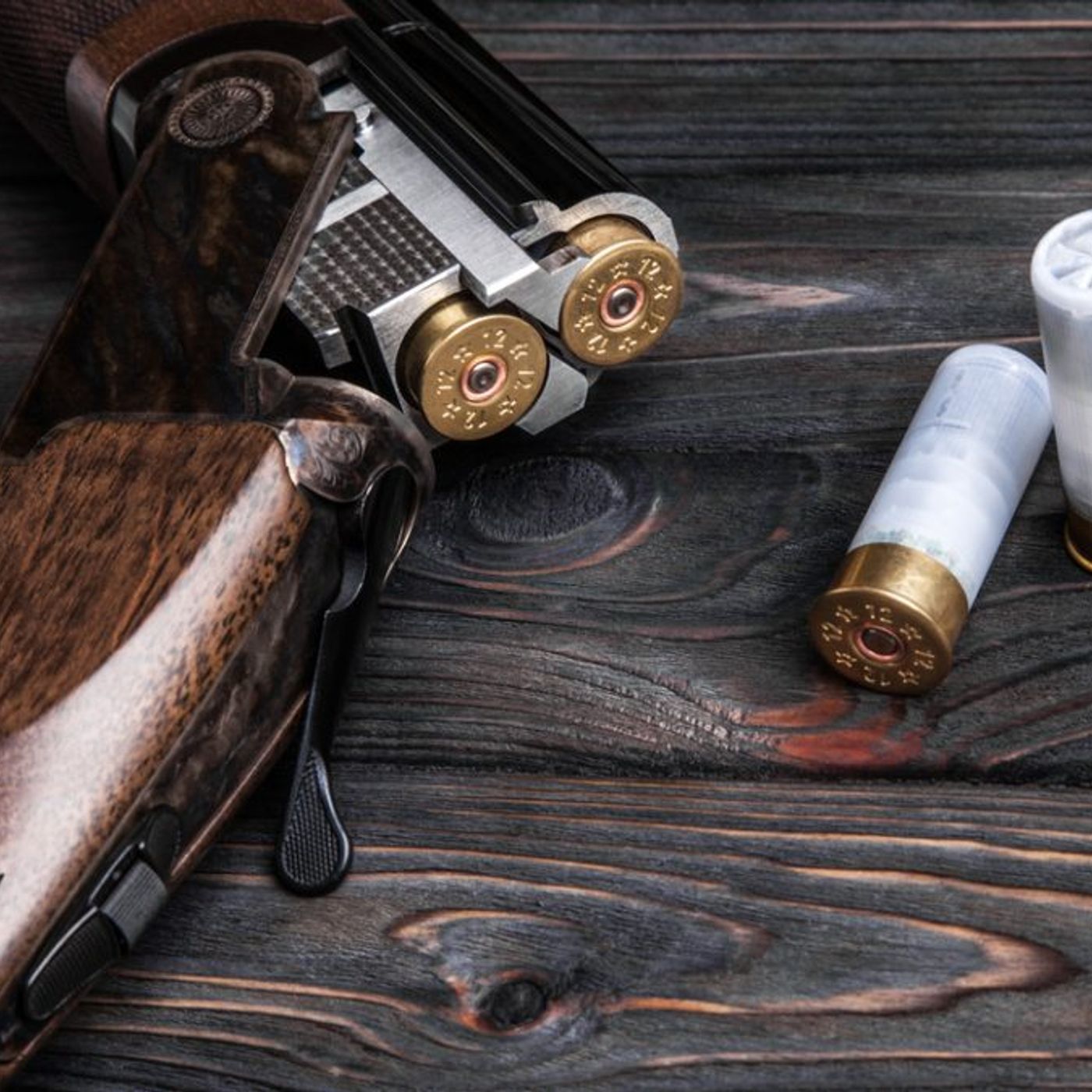 The Shotgun Is Where It Started
