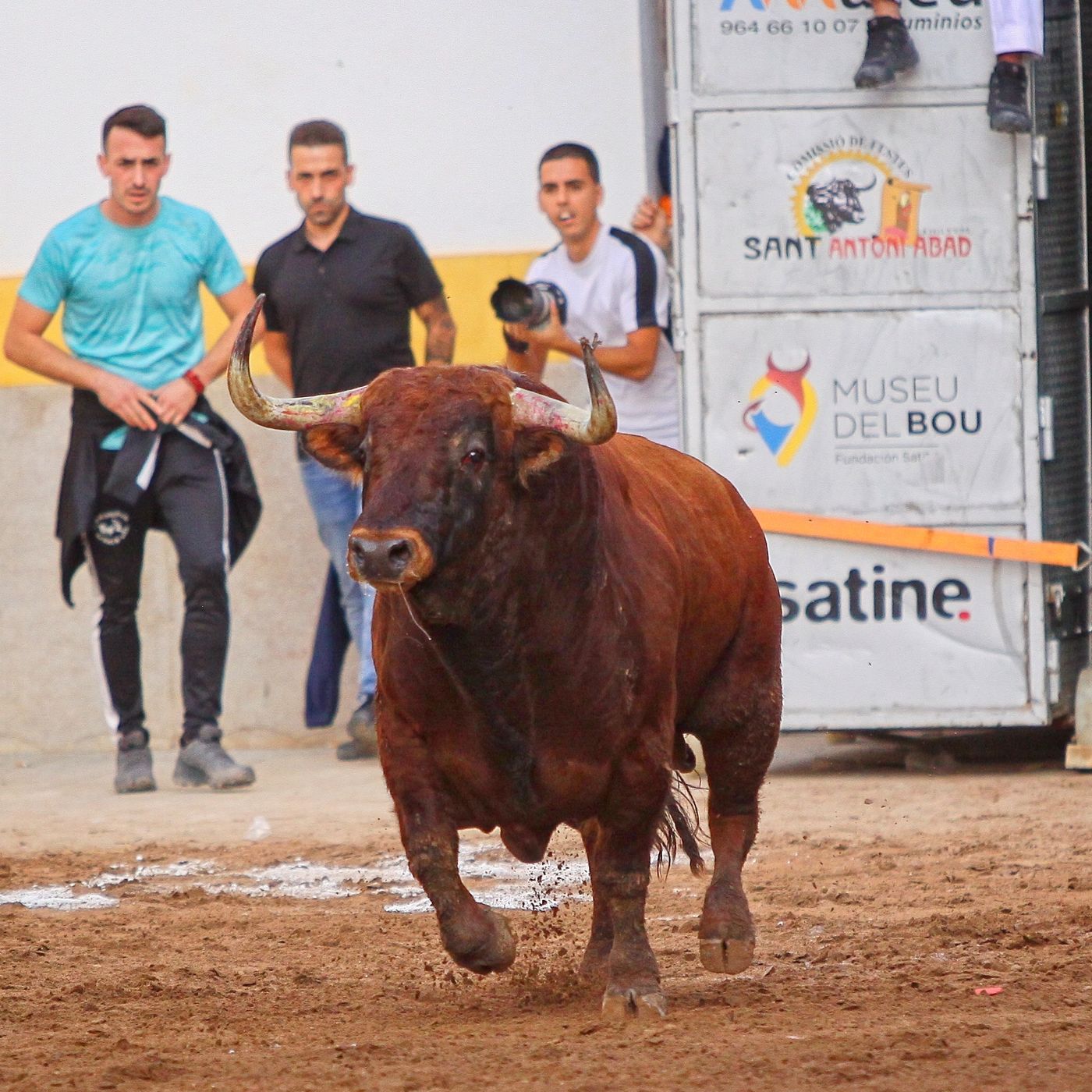 Hablemos de Toros