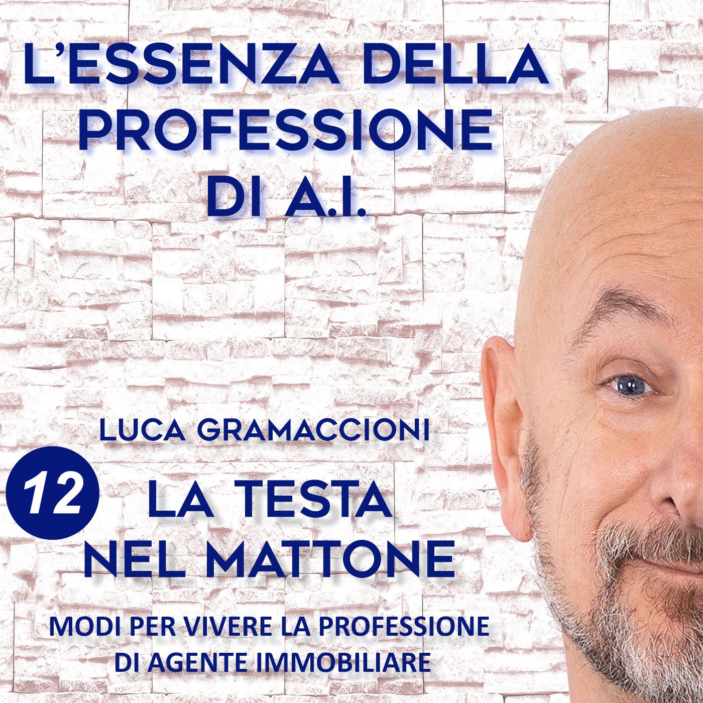 LA TESTA NEL MATTONE