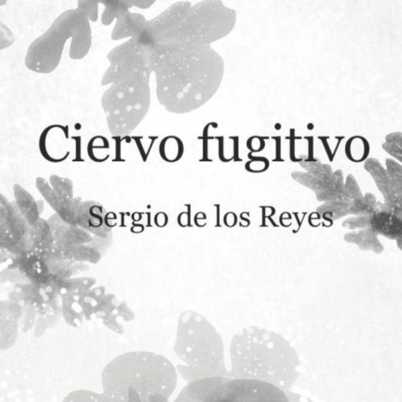 LECTURAS de Yamil Cuéllar