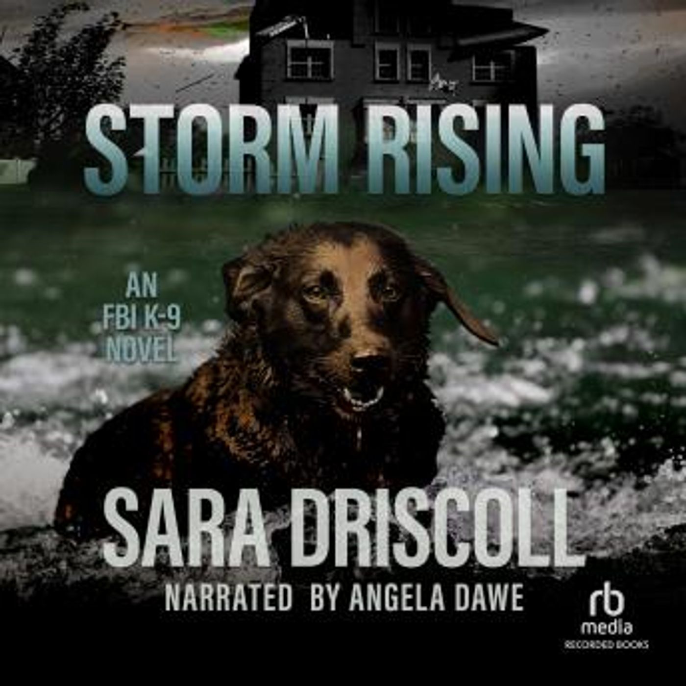 Storm Rising by Sara Driscoll episode artwork