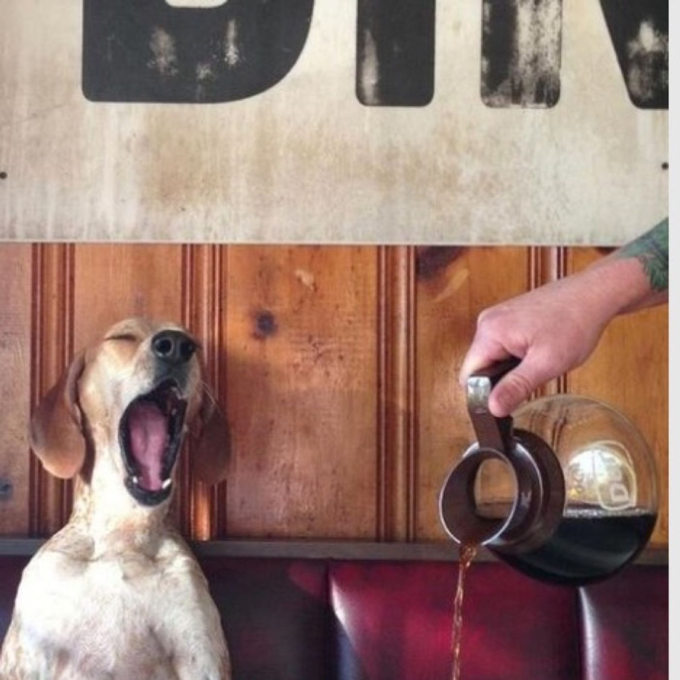 Y. Por Que No podcast artwork