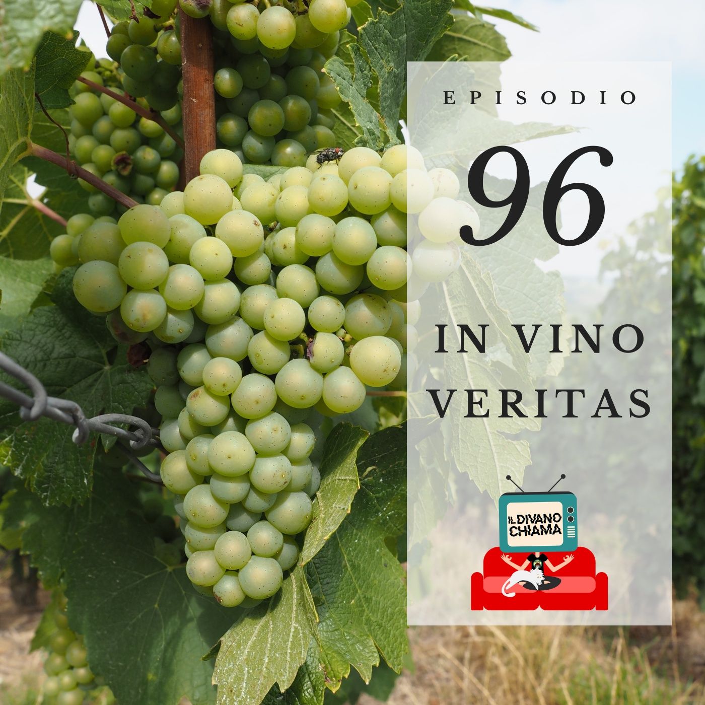 Puntata 96 - In vino veritas episode artwork